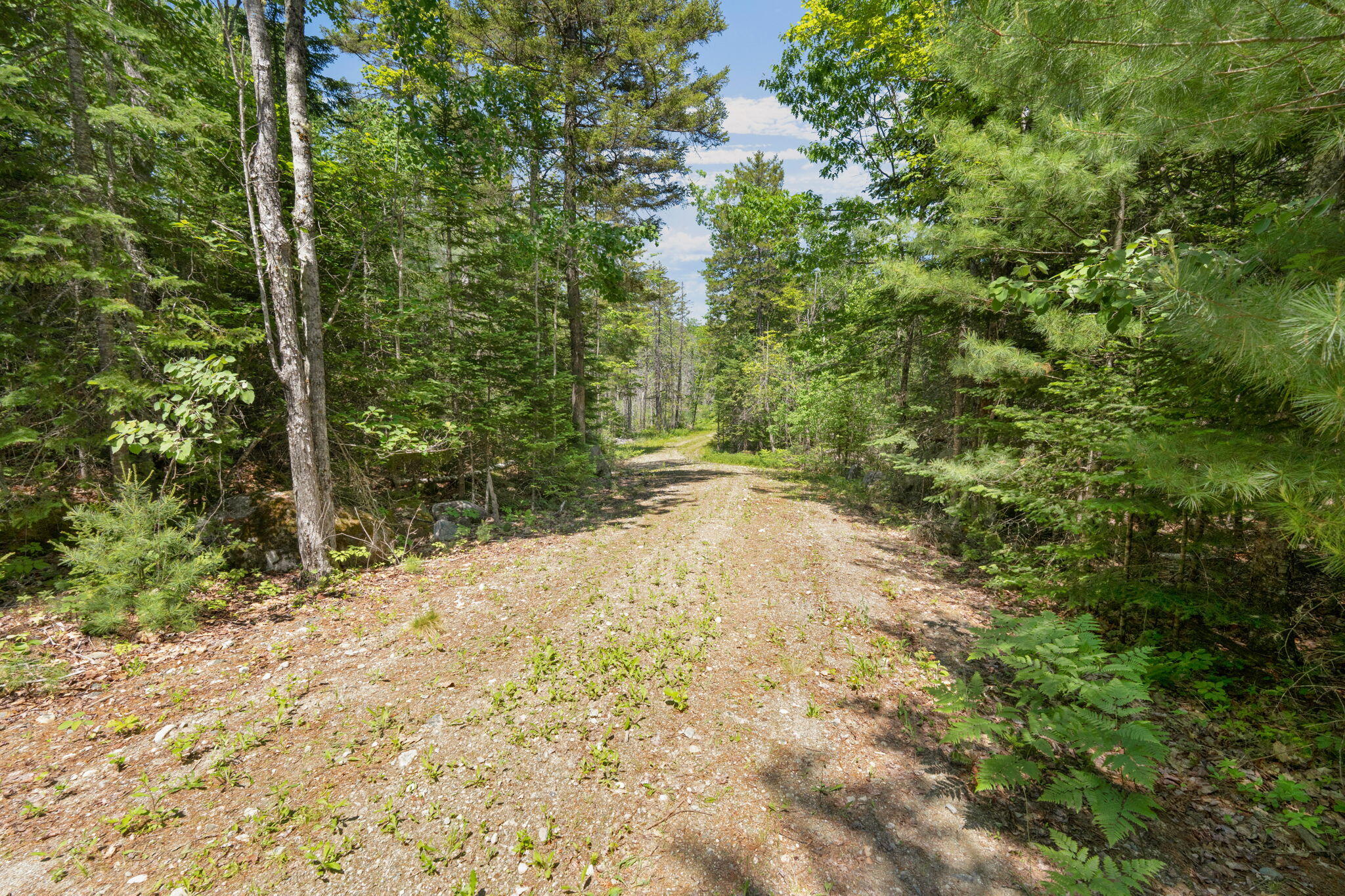 M24 L02 Property Photo 6