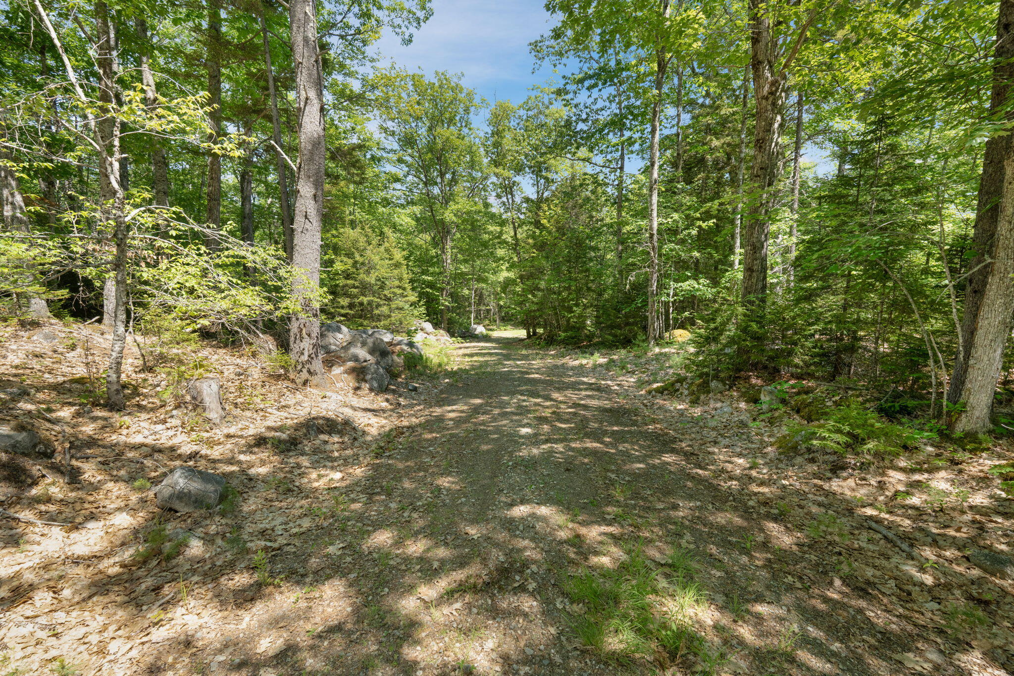 M24 L02 Property Photo 7