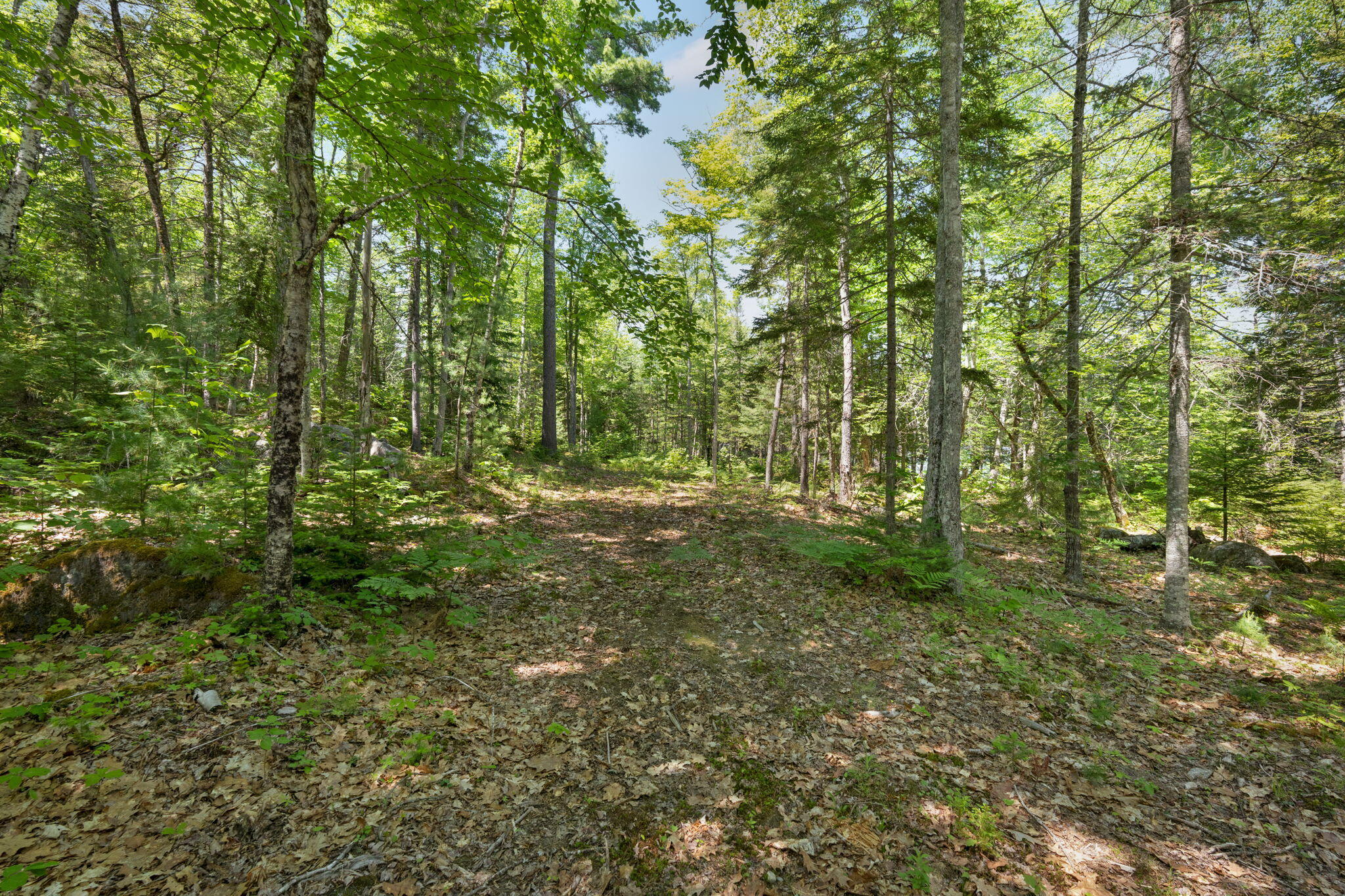 M24 L02 Property Photo 8