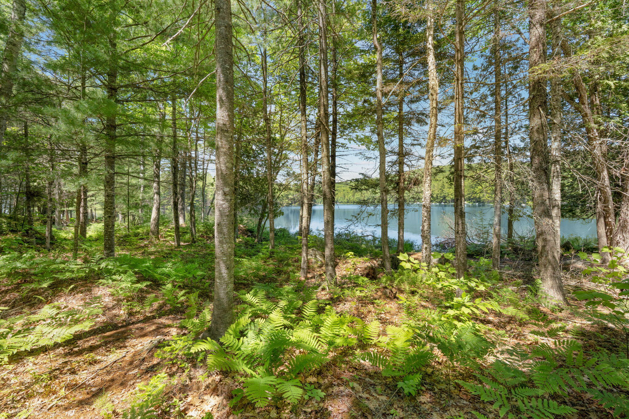 M24 L02 Property Photo 9