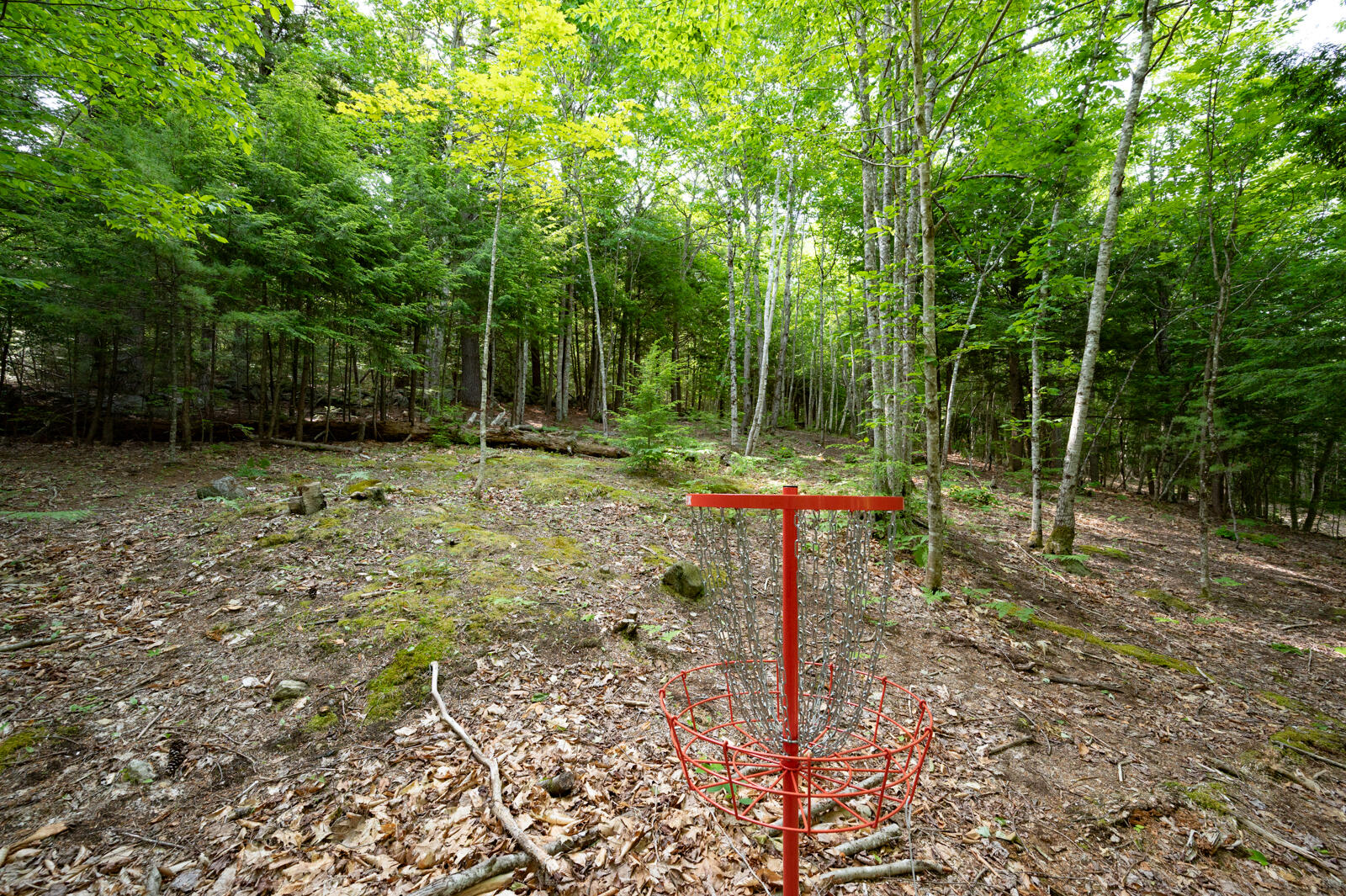 237-001 Hopper Road Property Photo 10
