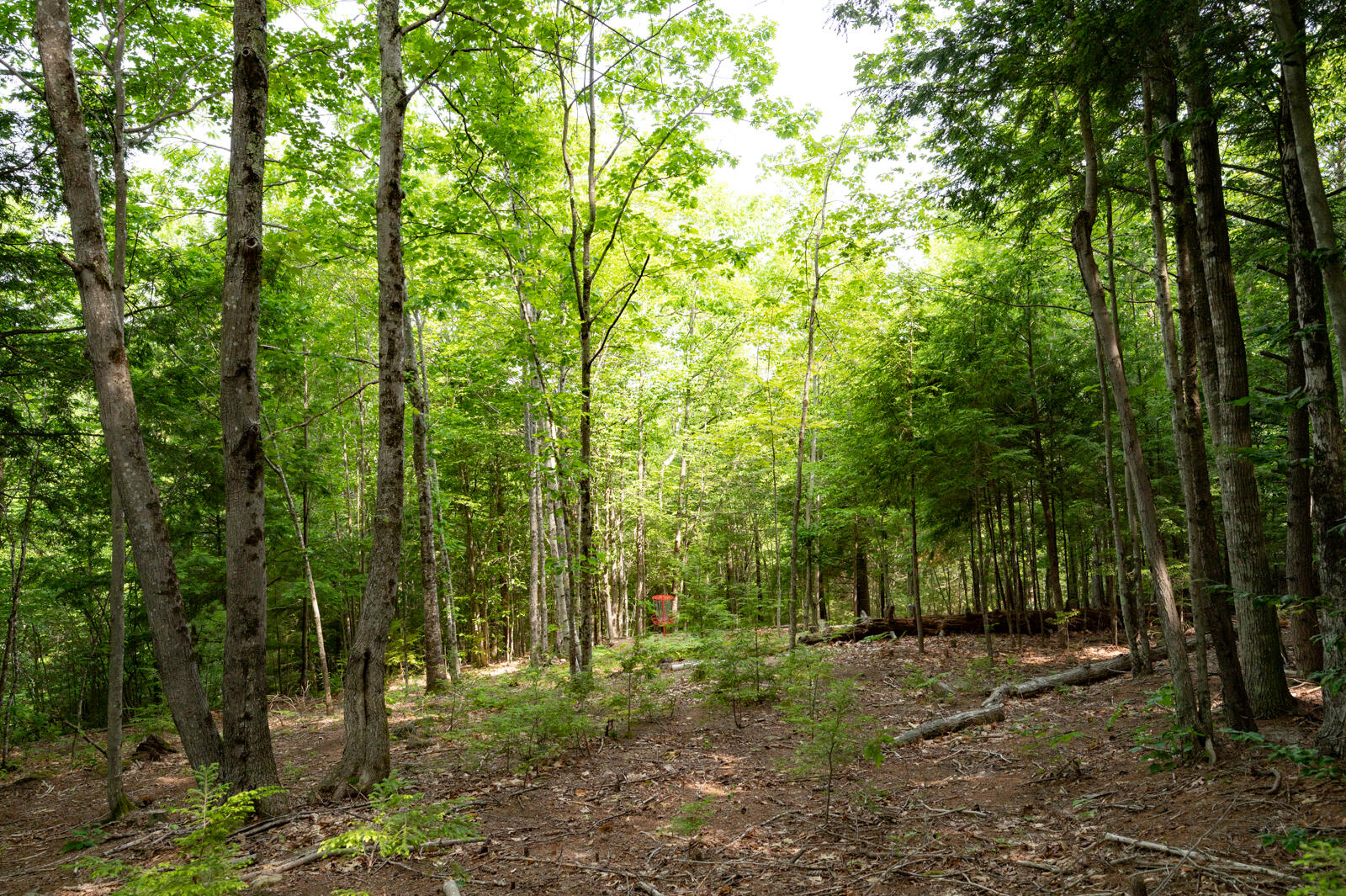 237-001 Hopper Road Property Photo 11