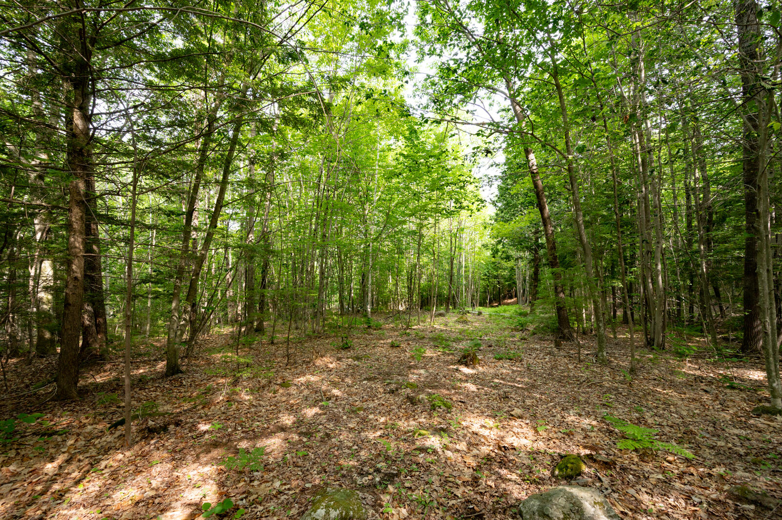 237-001 Hopper Road Property Photo 13