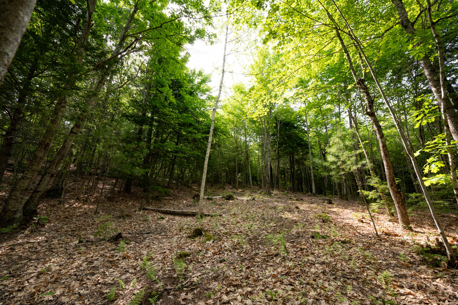 237-001 Hopper Road Property Photo 18