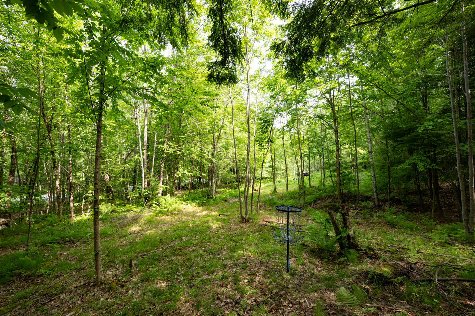 237-001 Hopper Road Property Photo 19