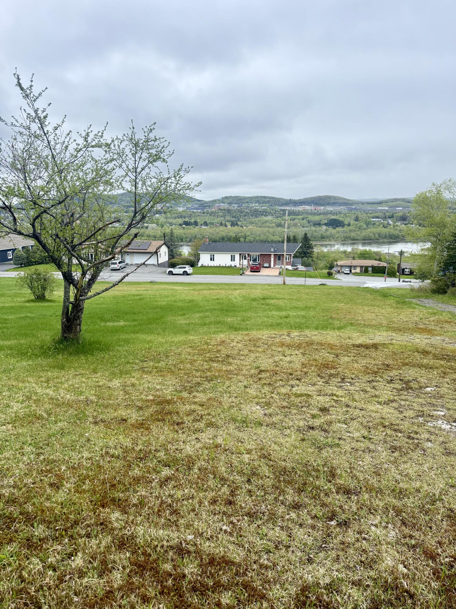 0 Albert Street Property Photo 1
