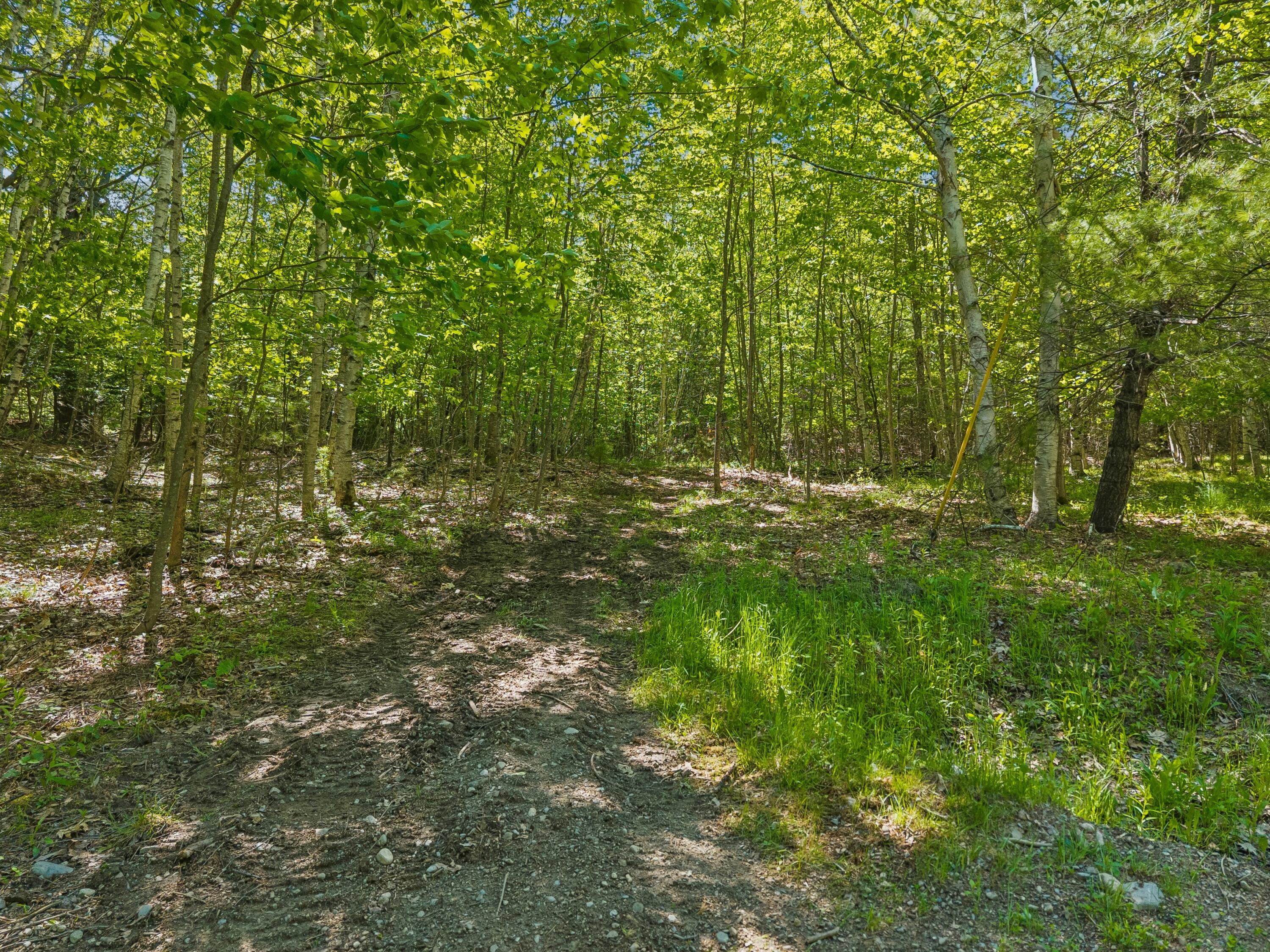 107 Stevenson Way Property Photo 17