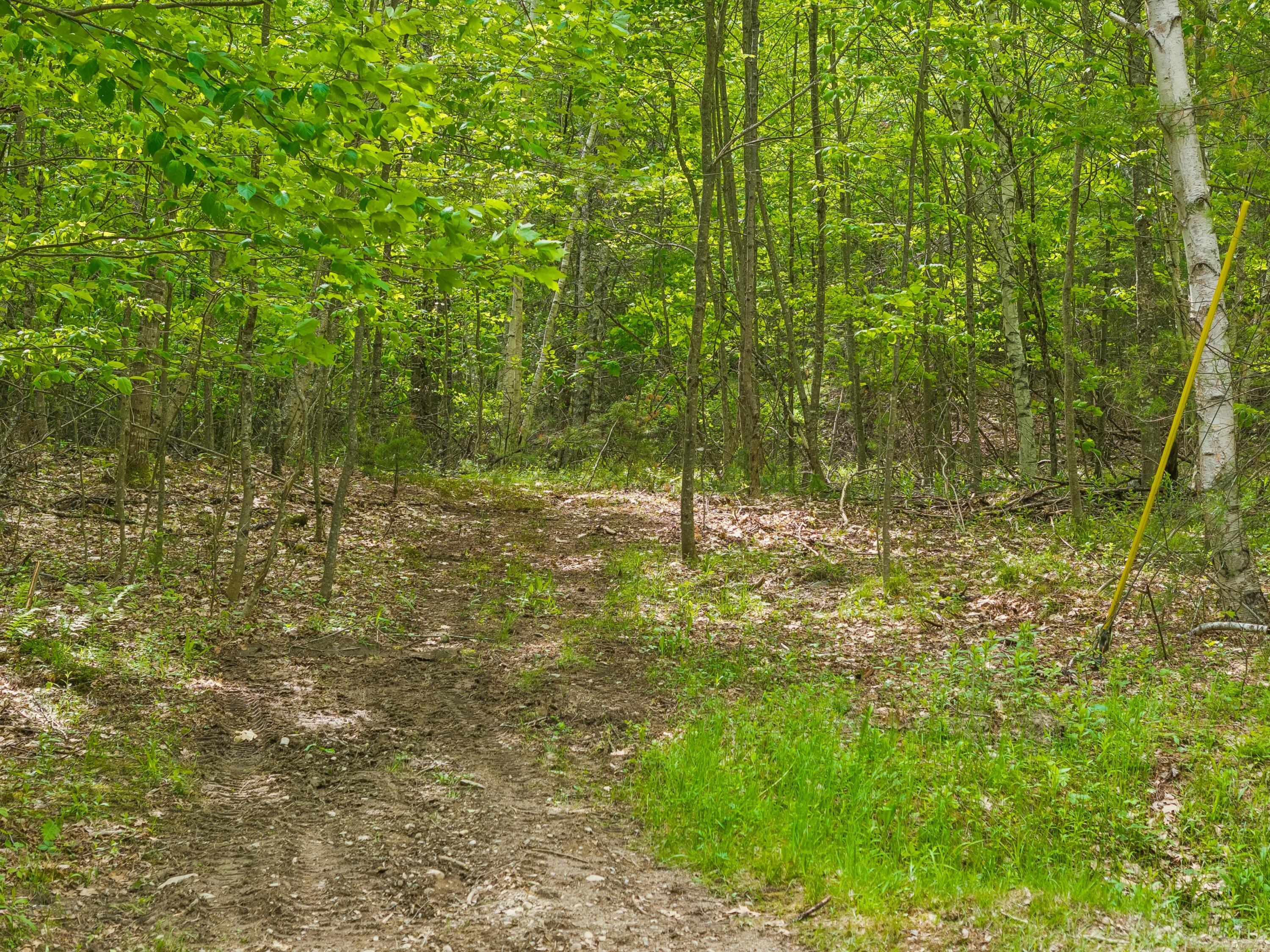 107 Stevenson Way Property Photo 21