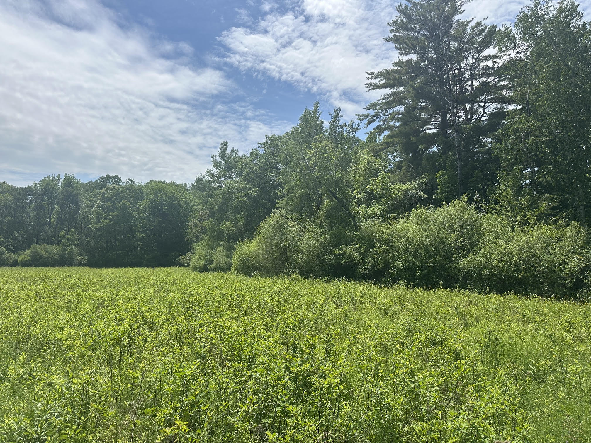 37 Herrick Road Property Photo 2