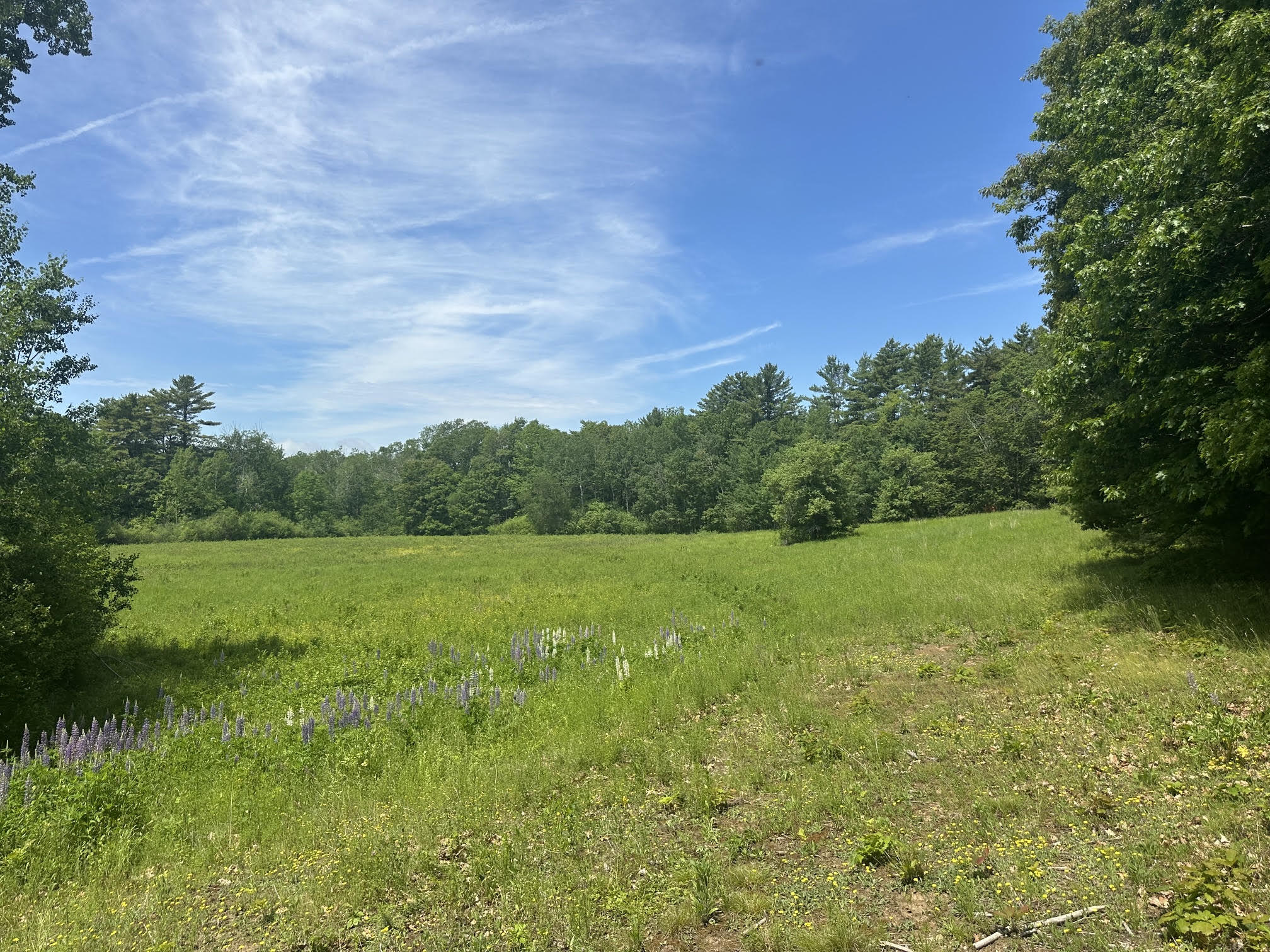 37 Herrick Road Property Photo 11