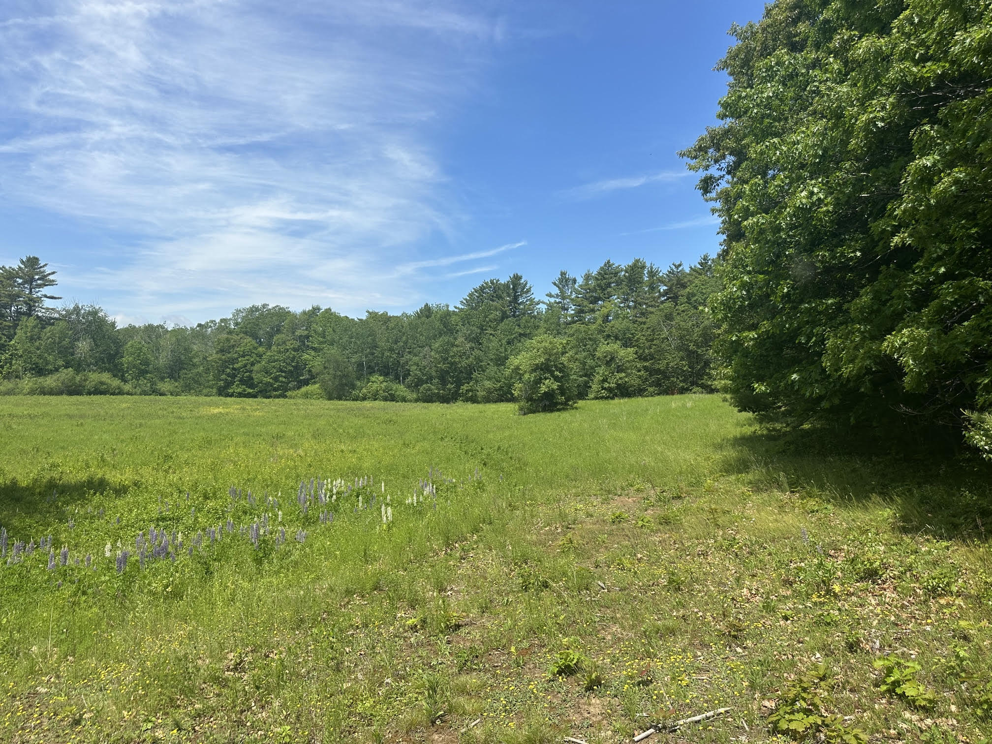 37 Herrick Road Property Photo 12