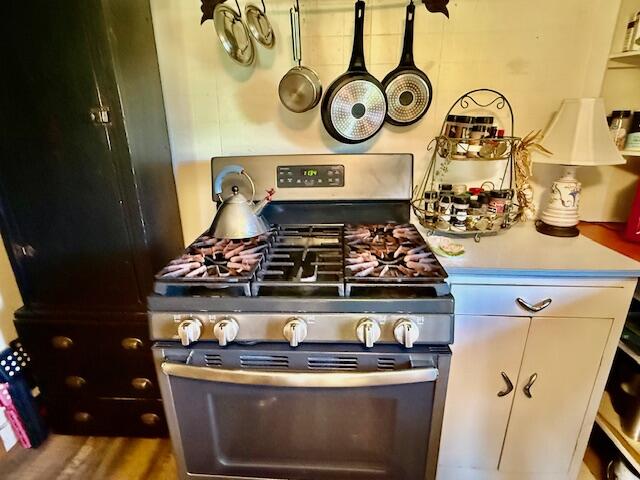 1023 Silver Lake Road Property Photo 17
