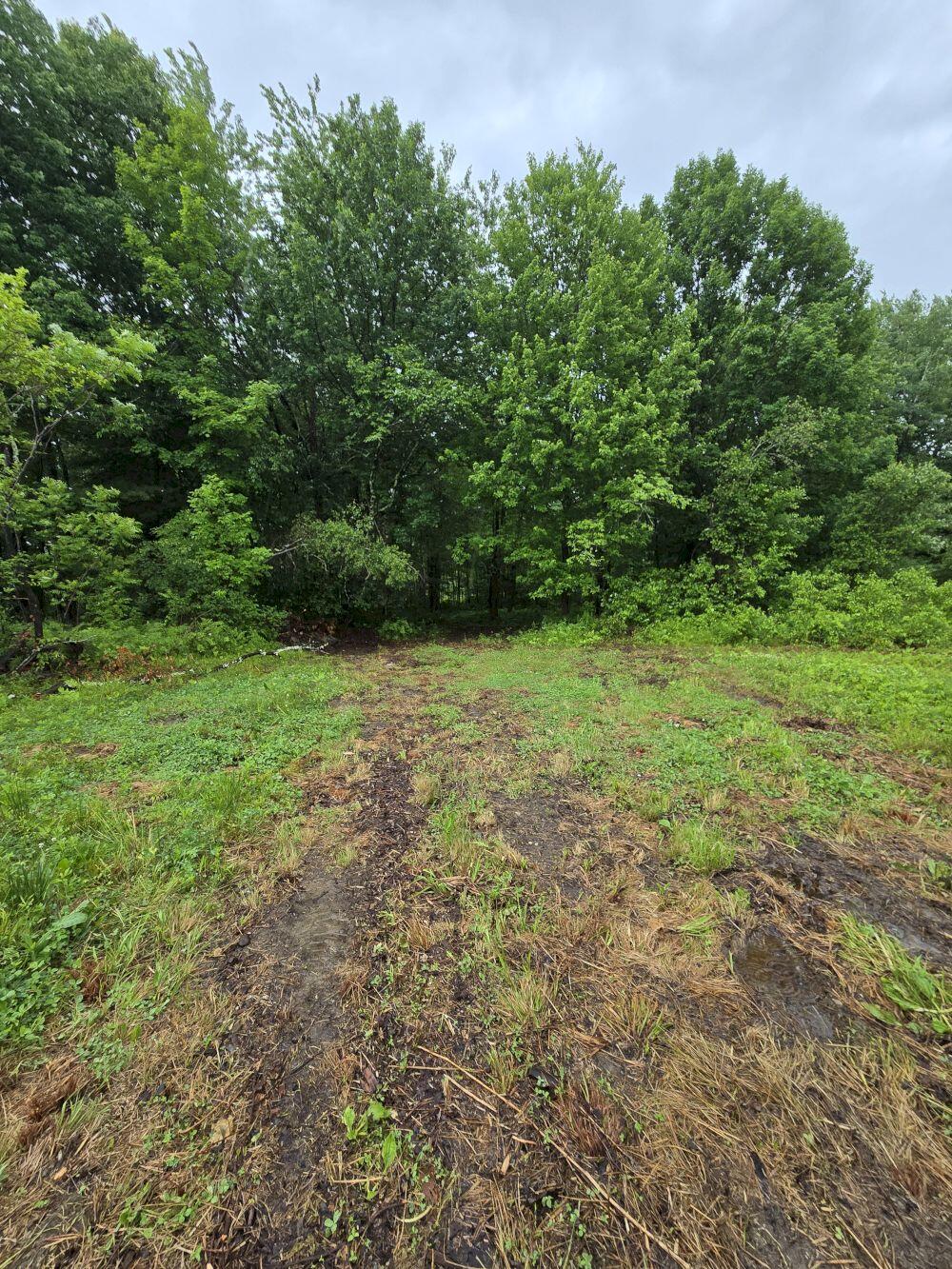 1158 Farmington Falls Road Property Photo 4