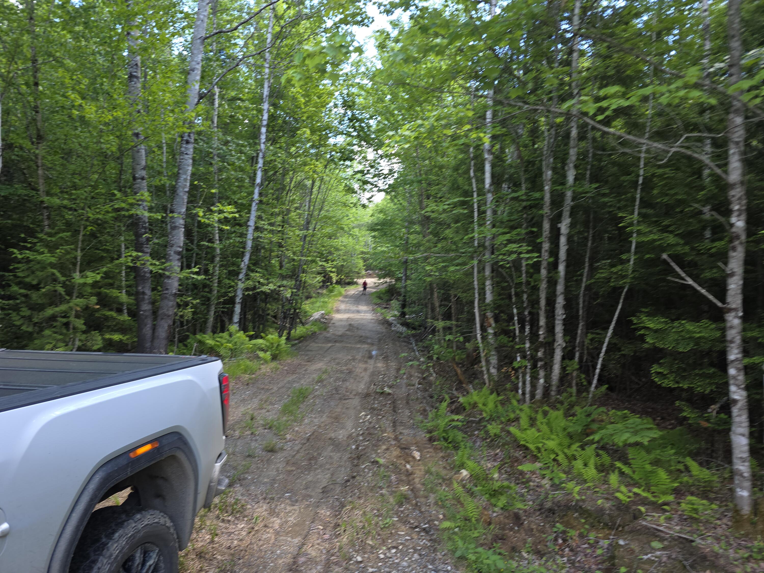 13 Off Birch Hill Road Property Photo 3