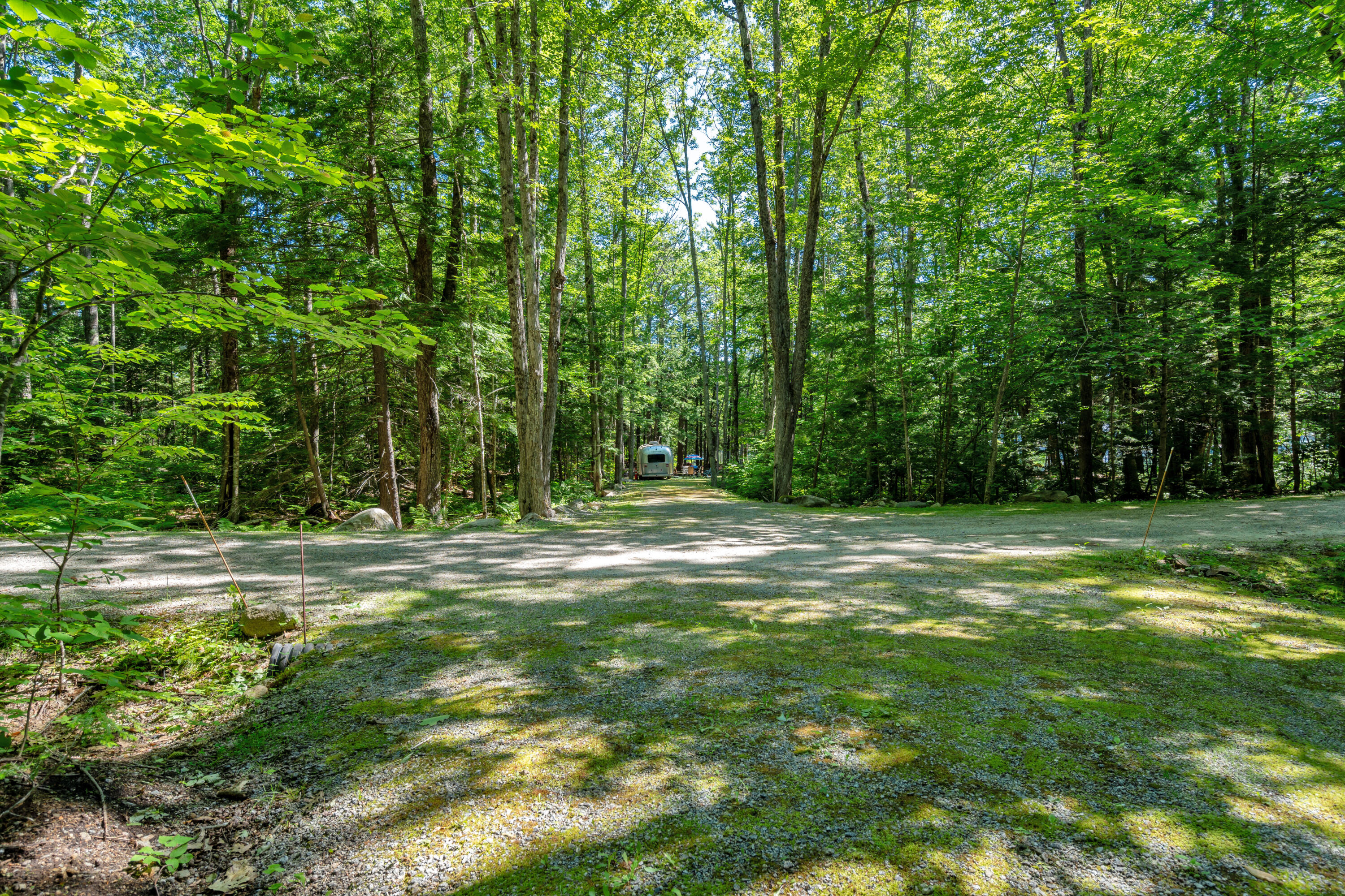 0 Stevens Cove Road Property Photo 12