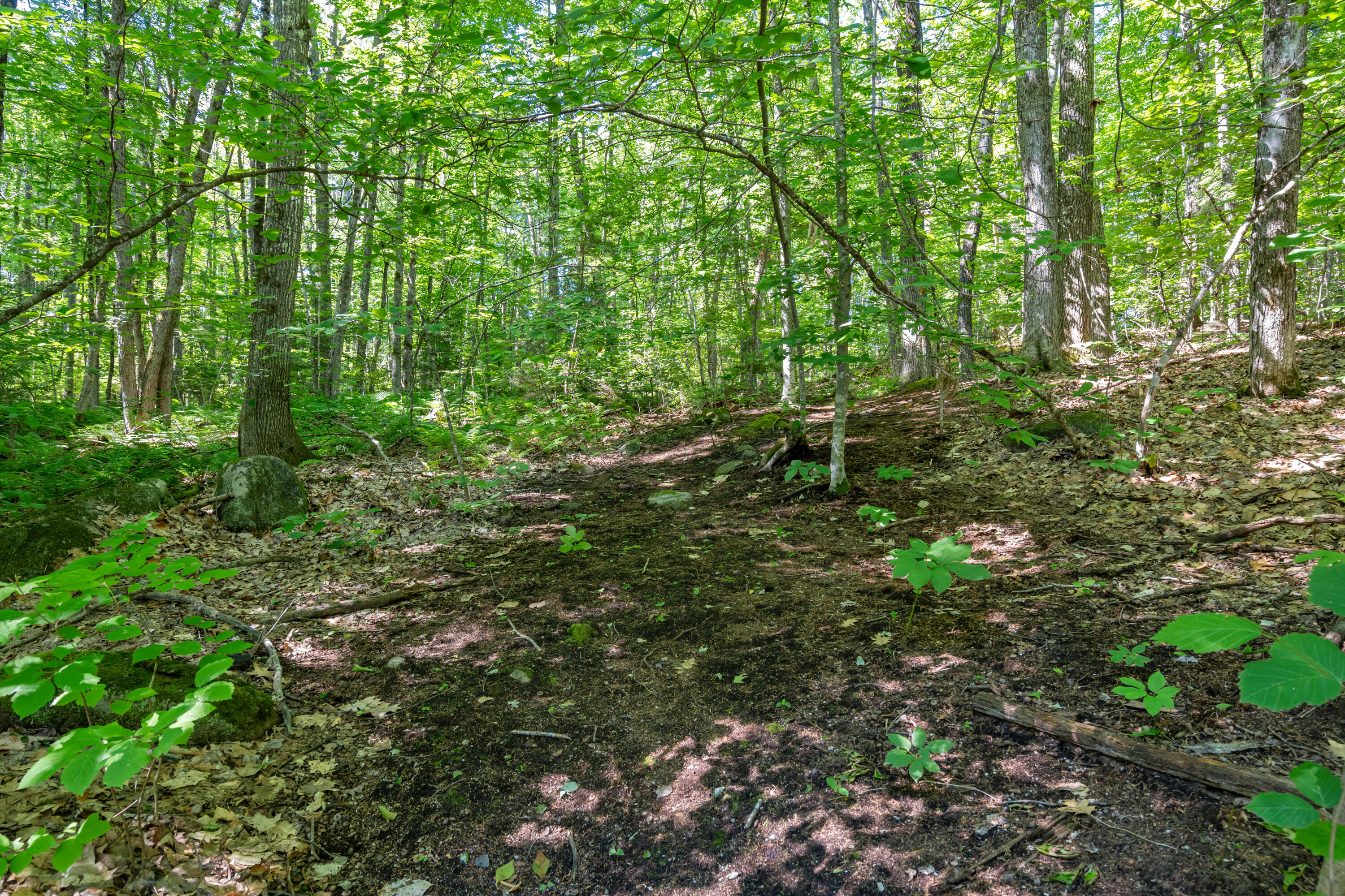 0 Stevens Cove Road Property Photo 30