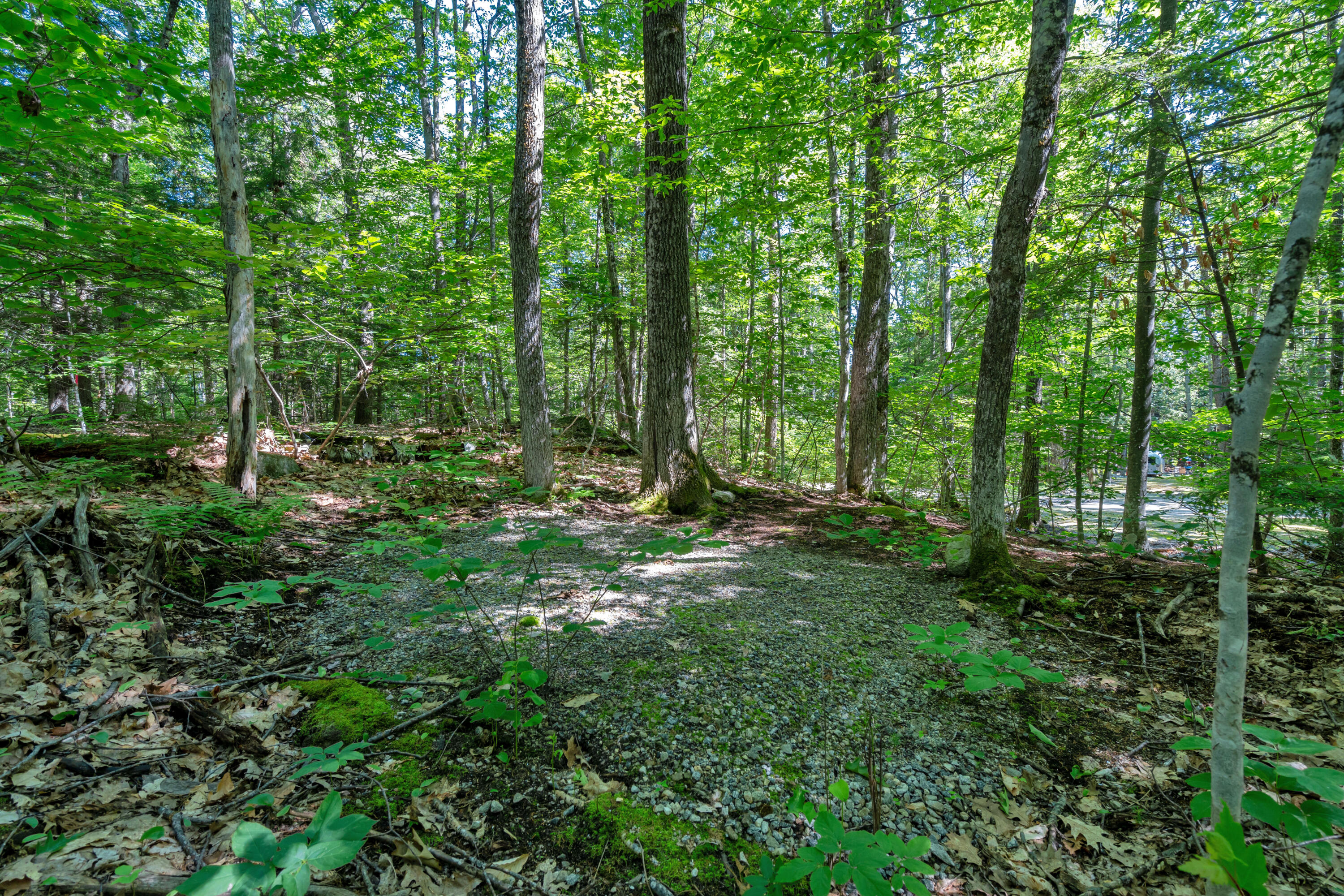 0 Stevens Cove Road Property Photo 31