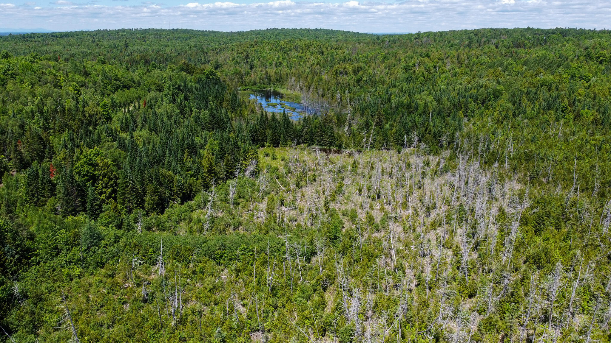 B Lookout Lane Property Photo 4