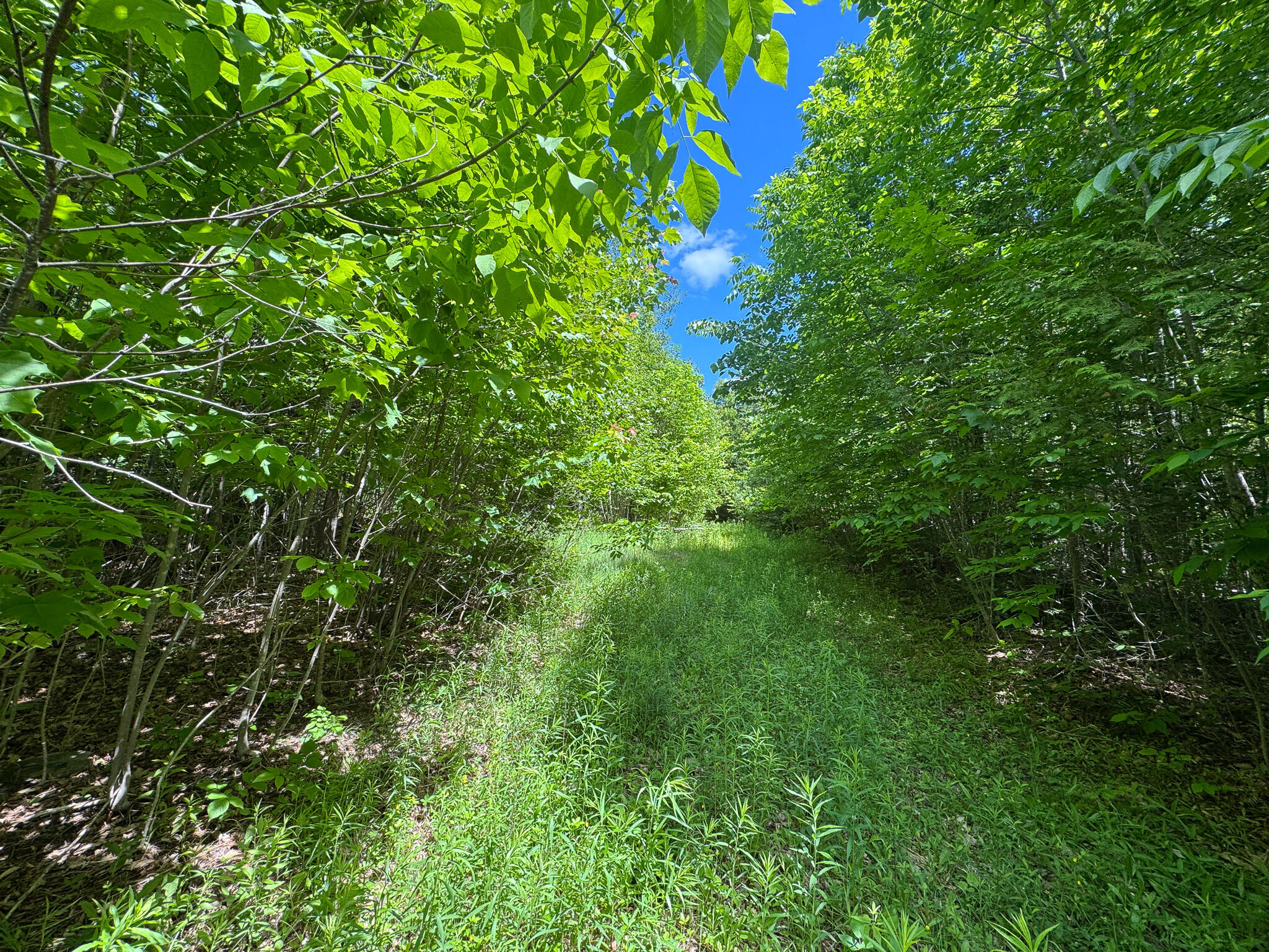 B Lookout Lane Property Photo 10