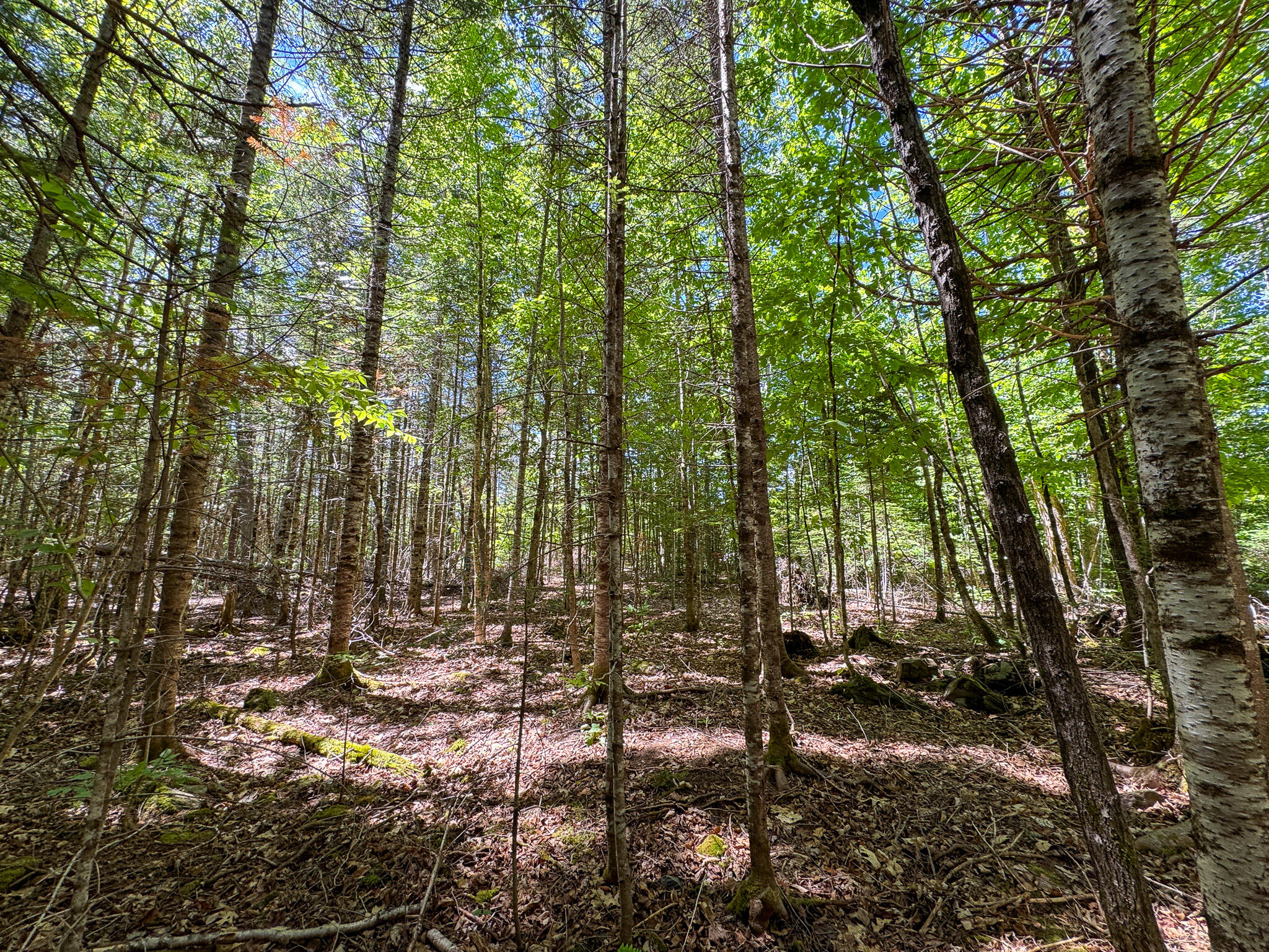 B Lookout Lane Property Photo 12