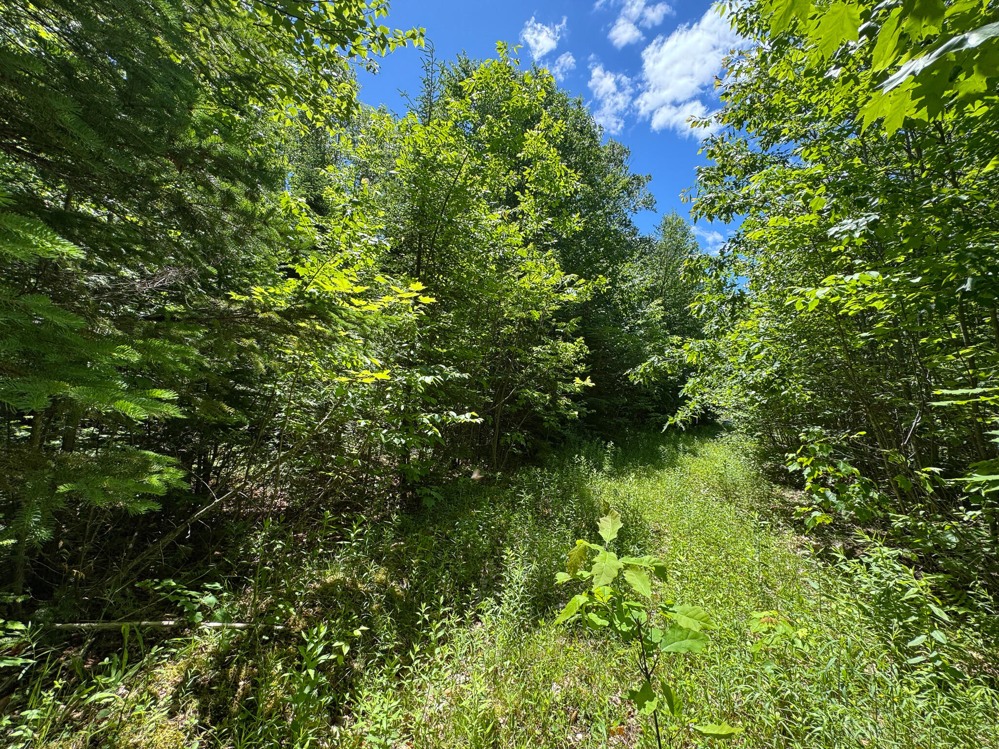 B Lookout Lane Property Photo 13