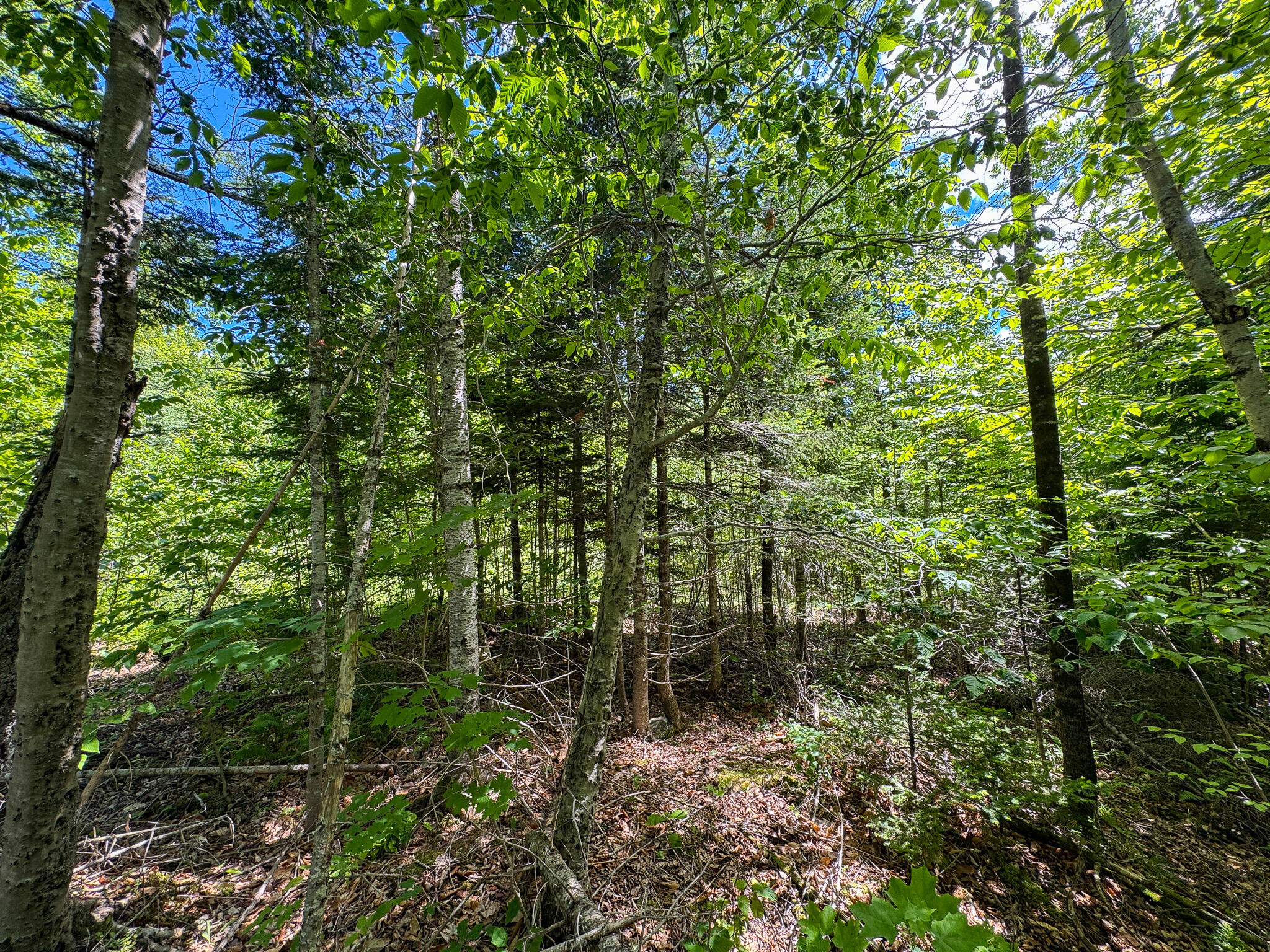 B Lookout Lane Property Photo 15