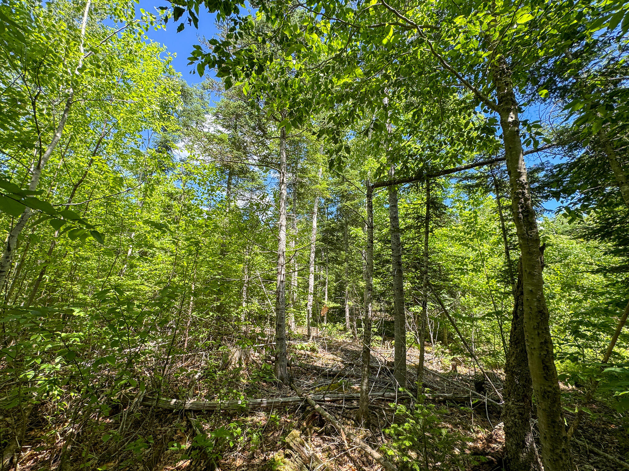 B Lookout Lane Property Photo 16