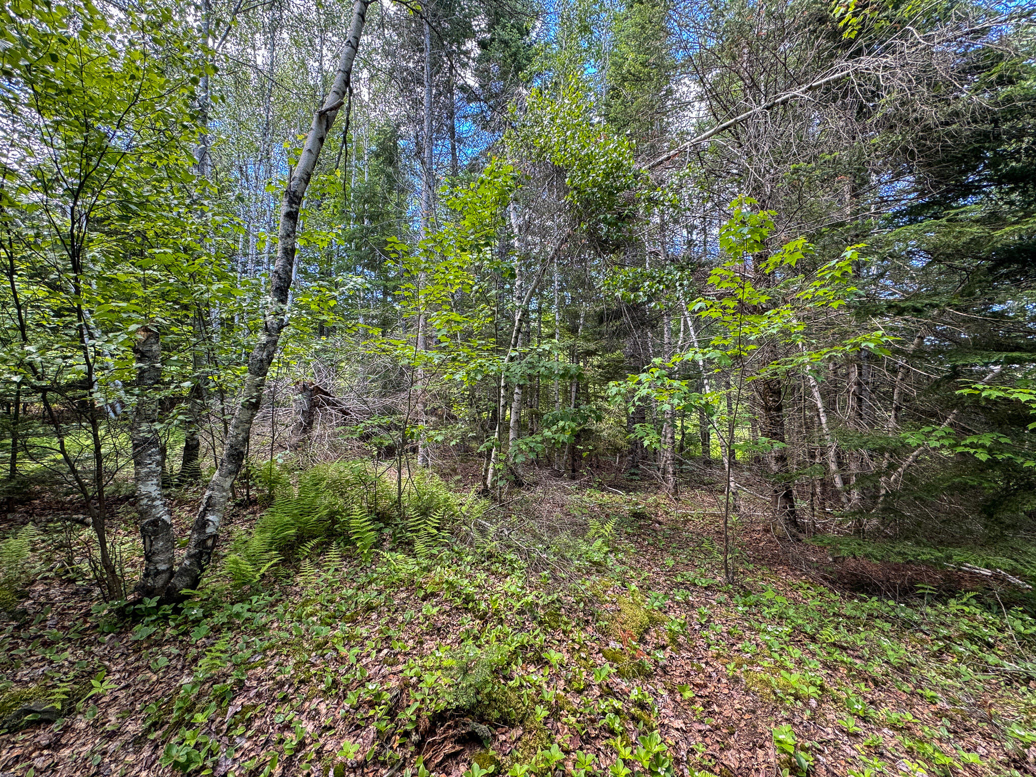 B Lookout Lane Property Photo 17