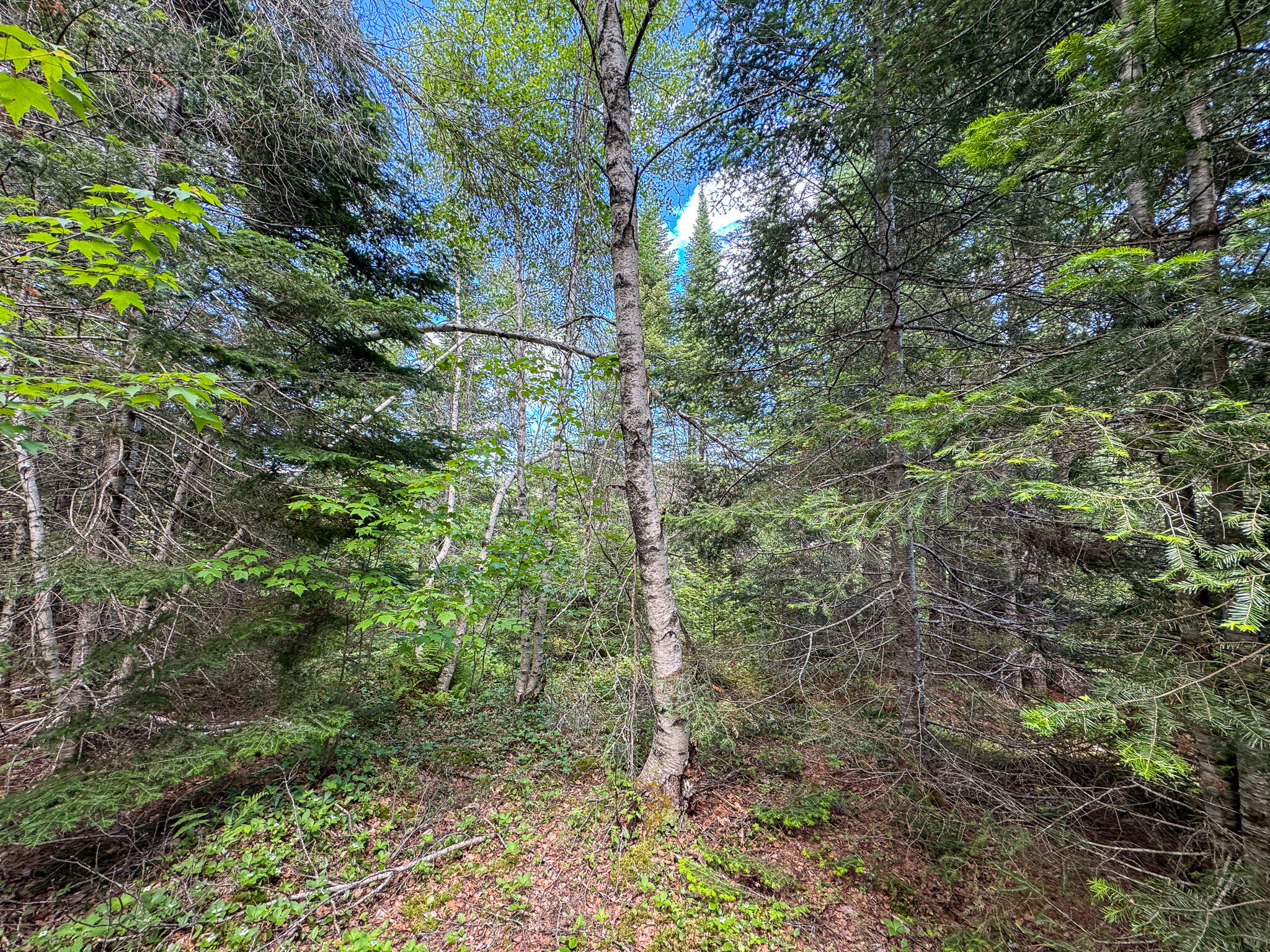 B Lookout Lane Property Photo 18