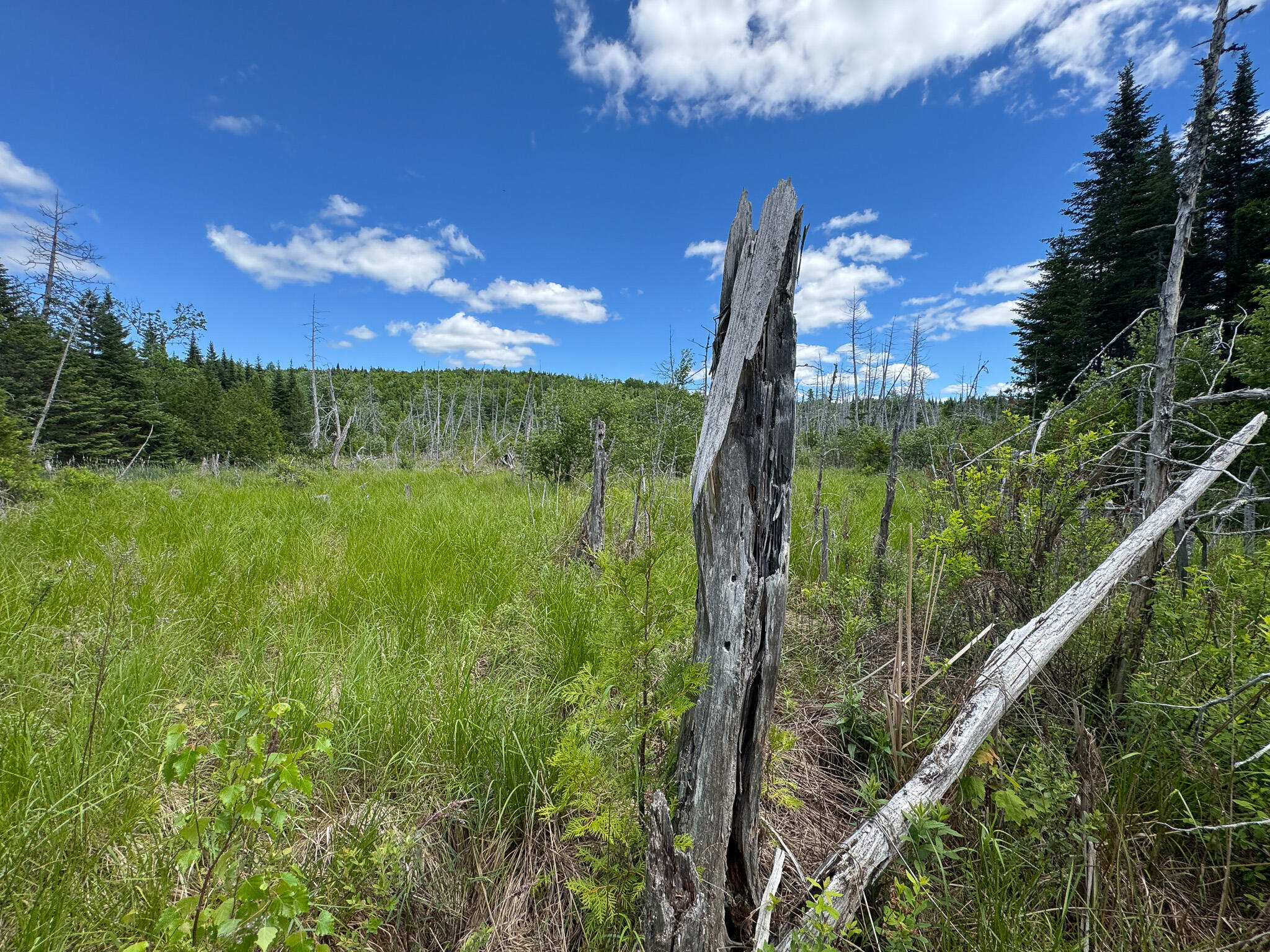 B Lookout Lane Property Photo 19