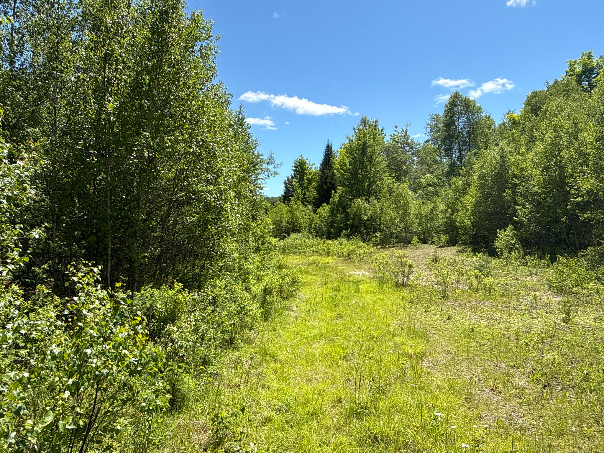 B Lookout Lane Property Photo 27