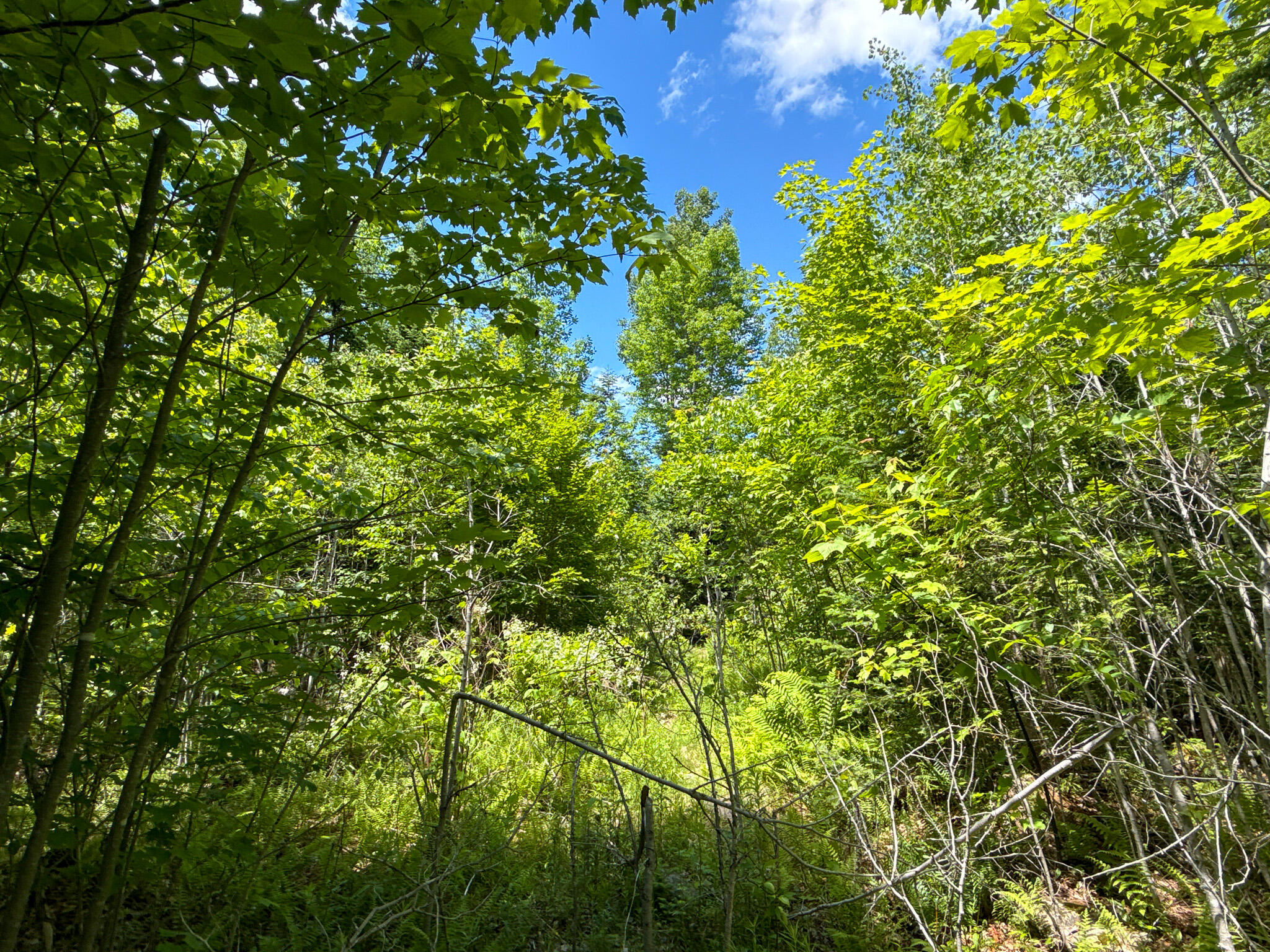 B Lookout Lane Property Photo 28