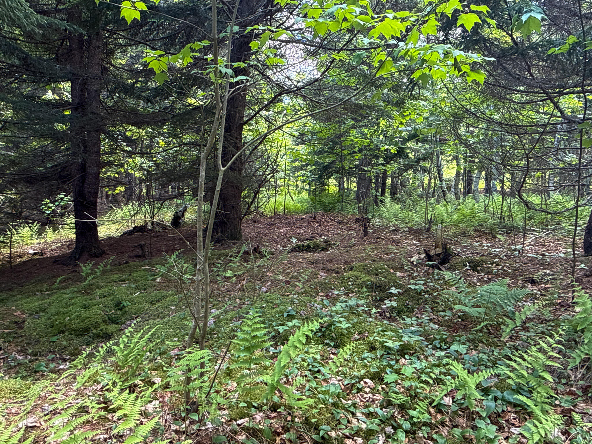 B Lookout Lane Property Photo 29