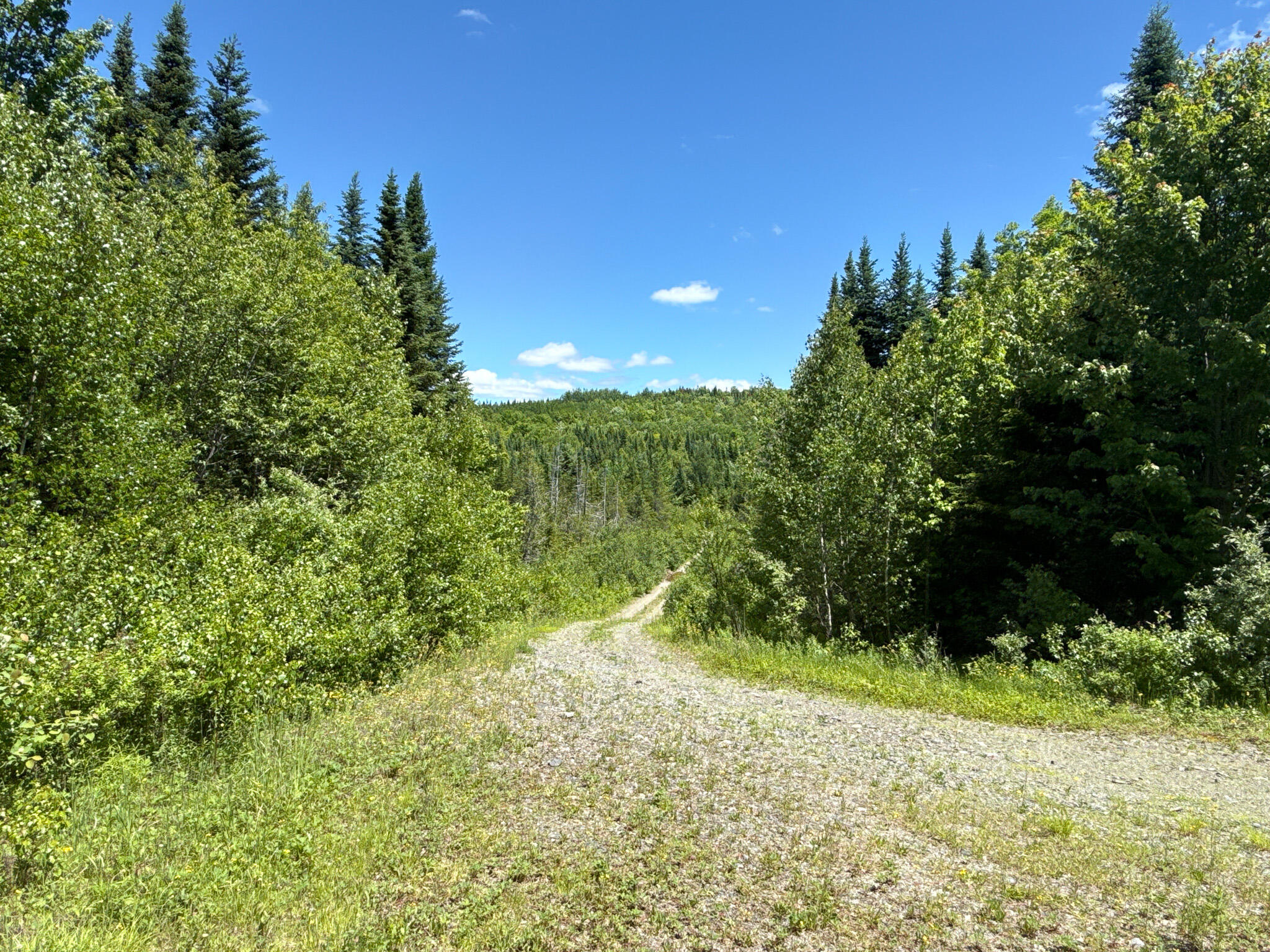 B Lookout Lane Property Photo 30
