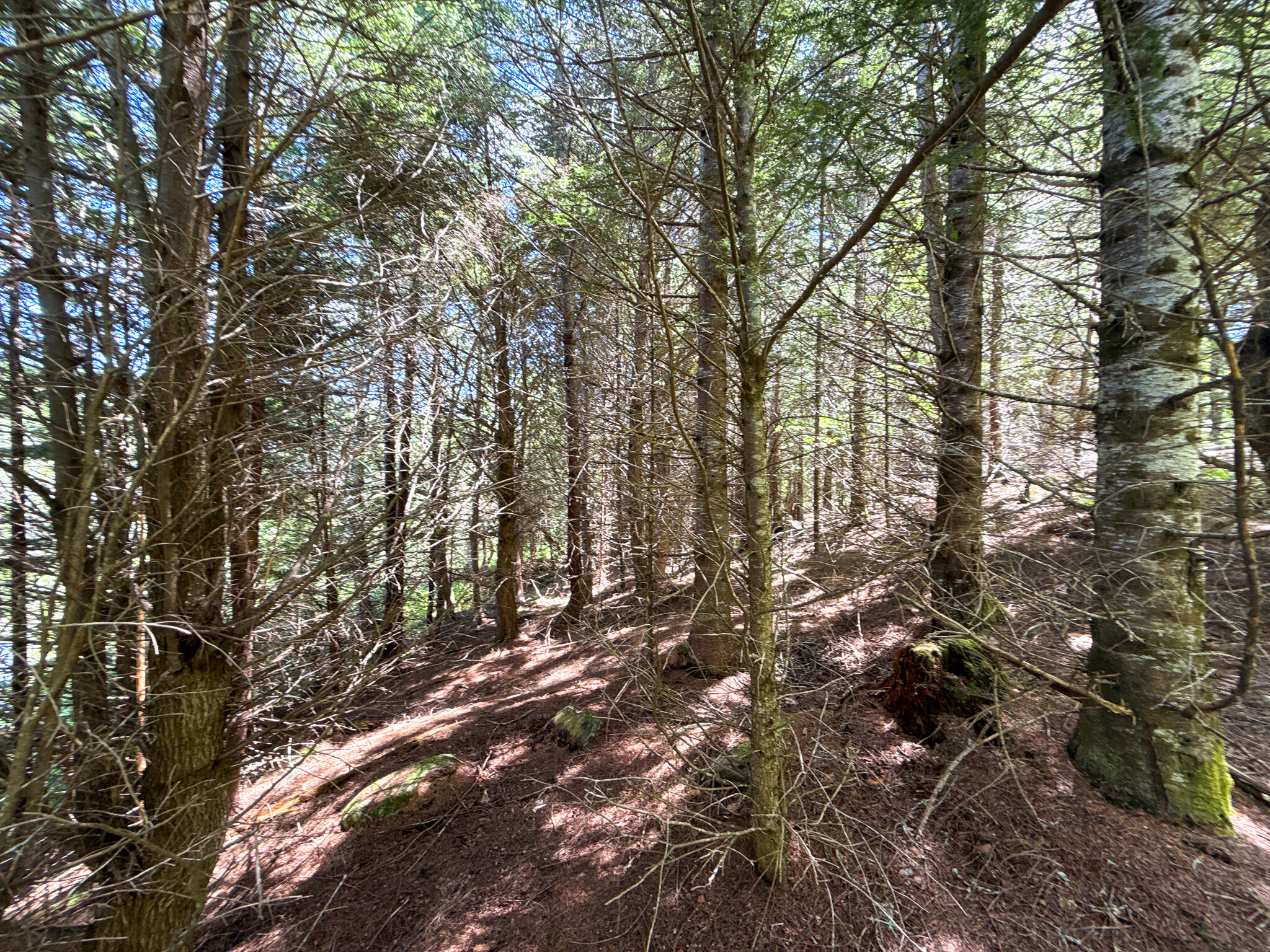 B Lookout Lane Property Photo 32