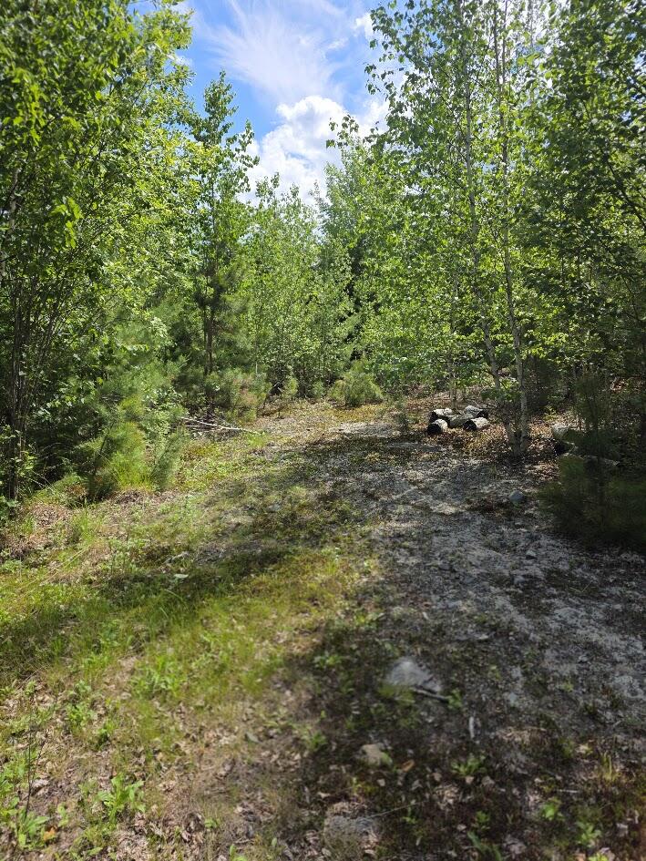 0 E Pleasant River Lake Road Property Photo 2