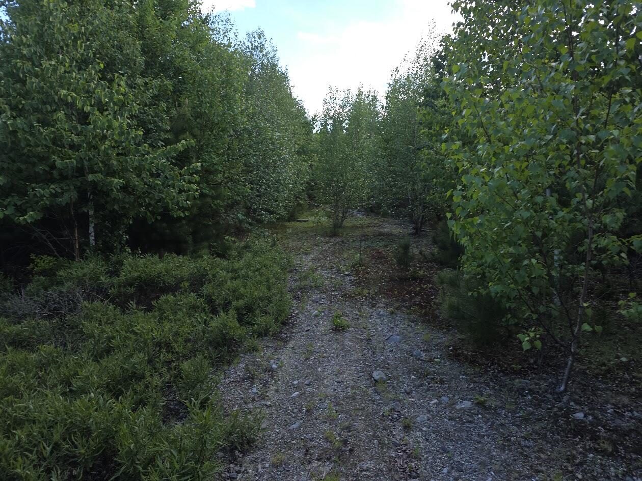 0 E Pleasant River Lake Road Property Photo 4