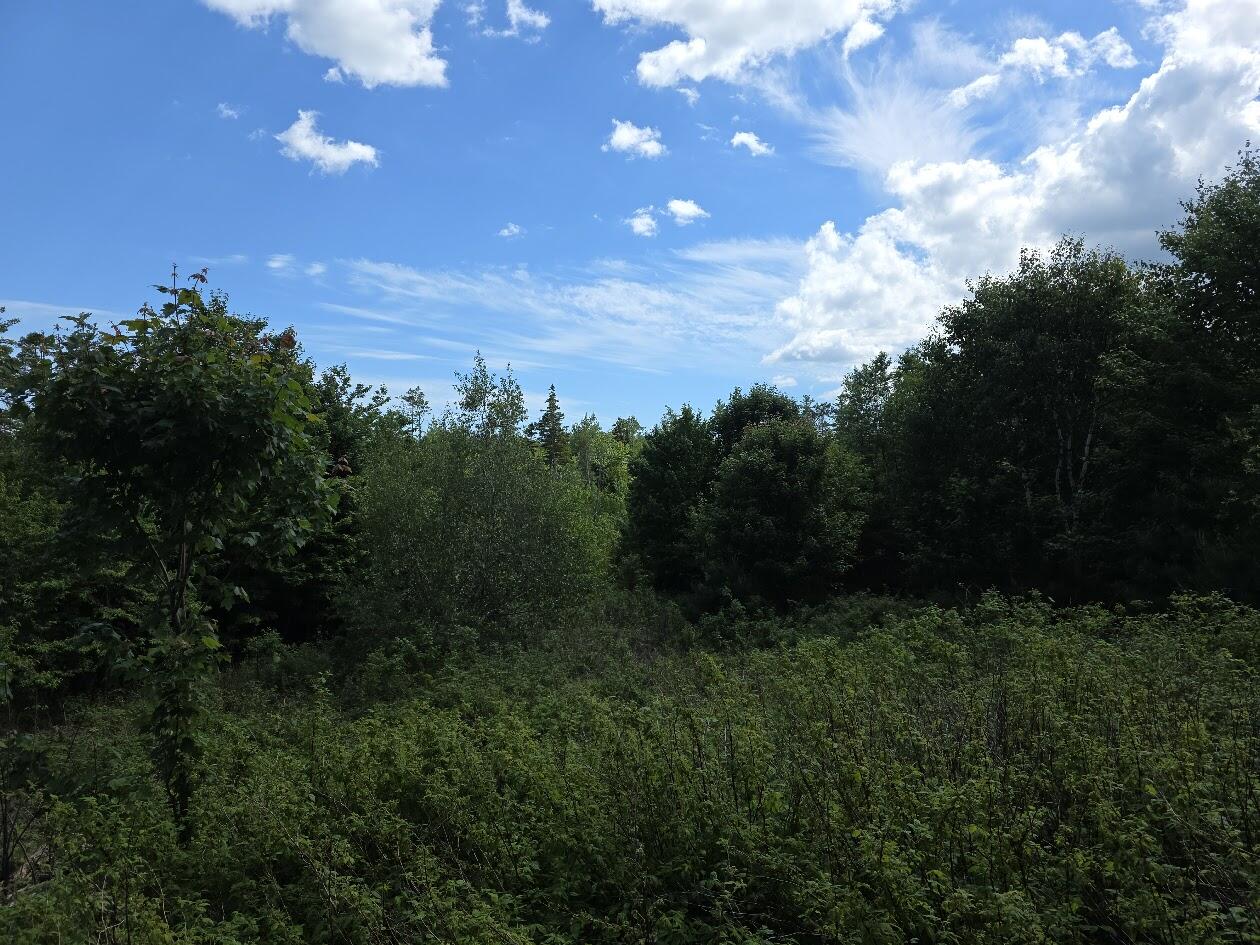 0 E Pleasant River Lake Road Property Photo 7