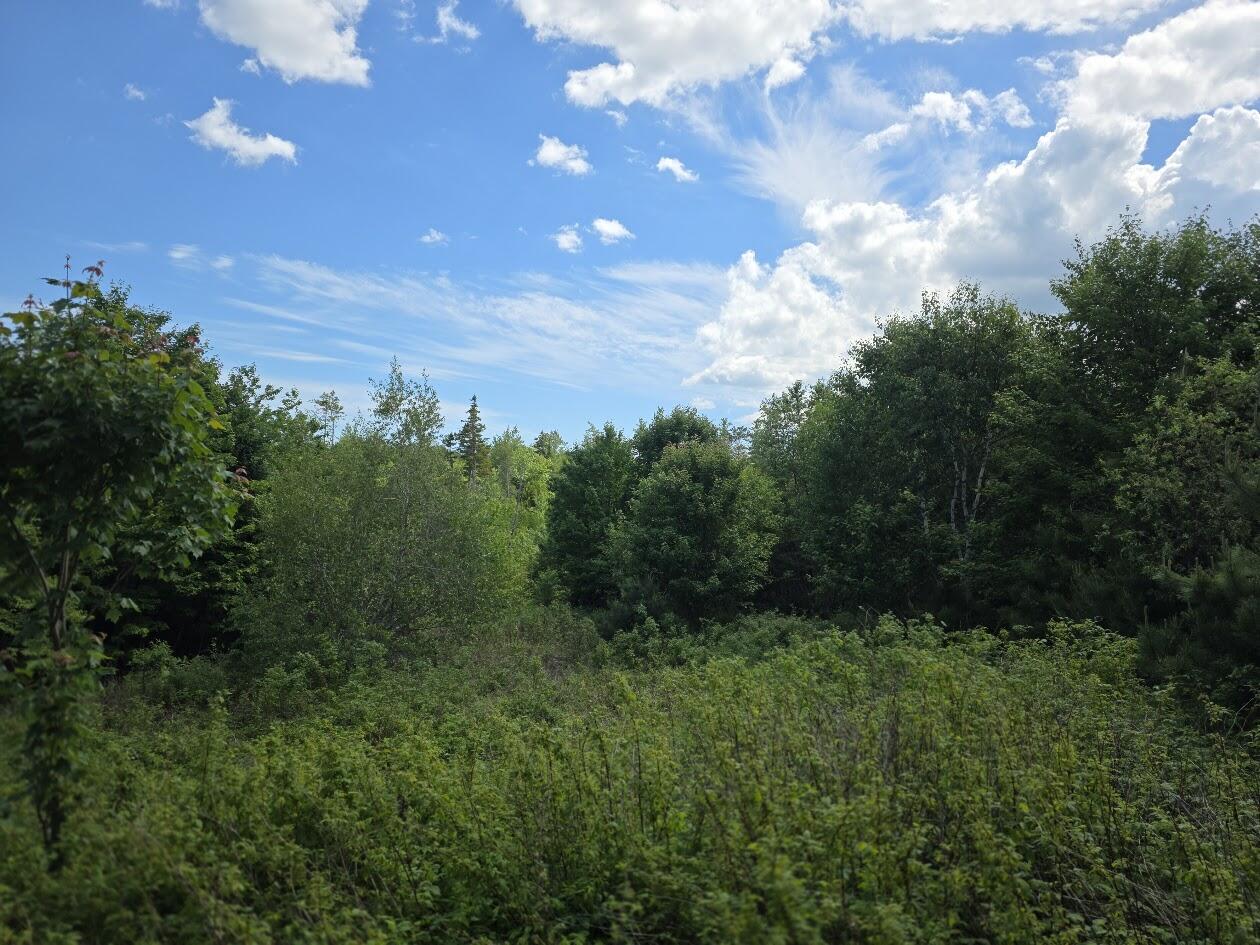 0 E Pleasant River Lake Road Property Photo 8