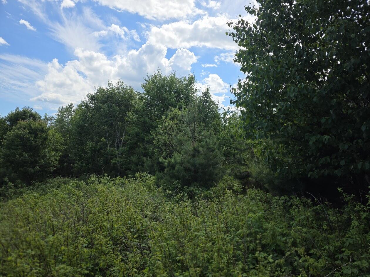 0 E Pleasant River Lake Road Property Photo 9
