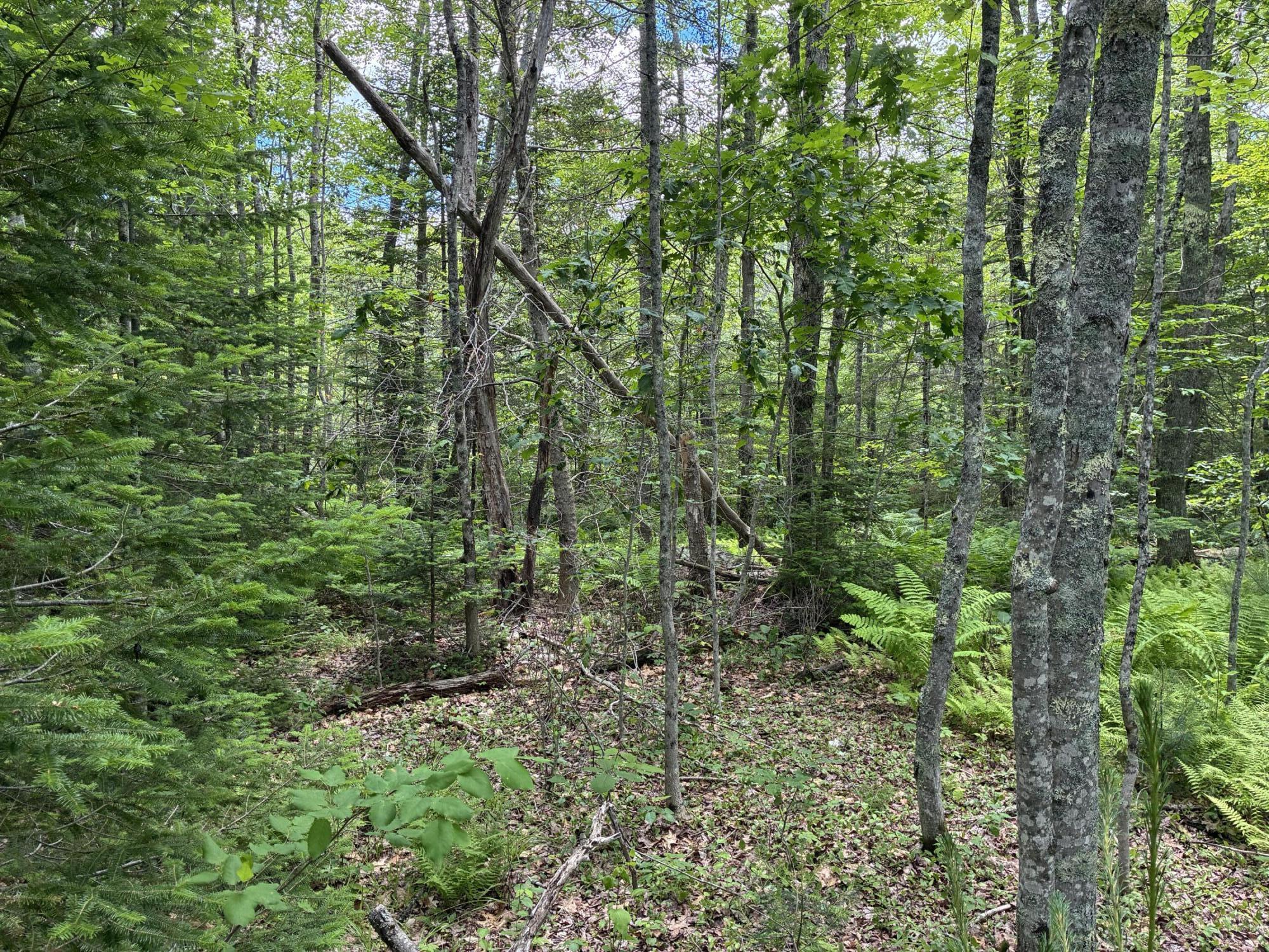 Lot #40 Route 17 (augusta Road) Property Photo 3