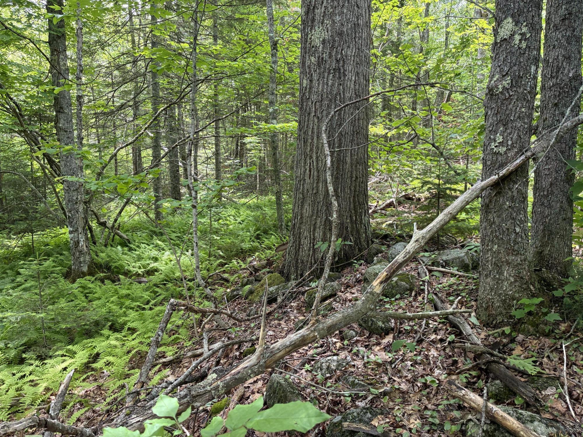 Lot #40 Route 17 (augusta Road) Property Photo 4