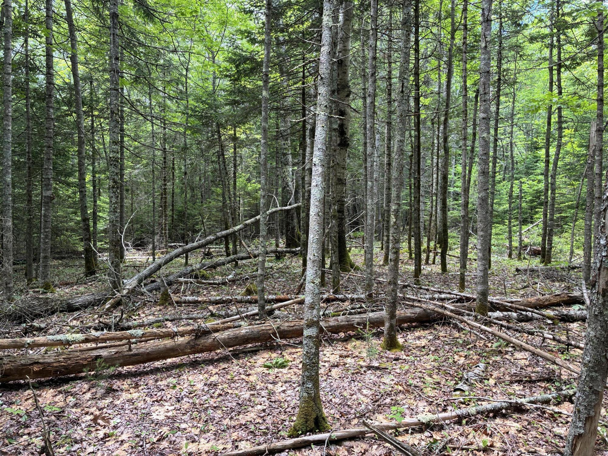 Lot #40 Route 17 (augusta Road) Property Photo 8