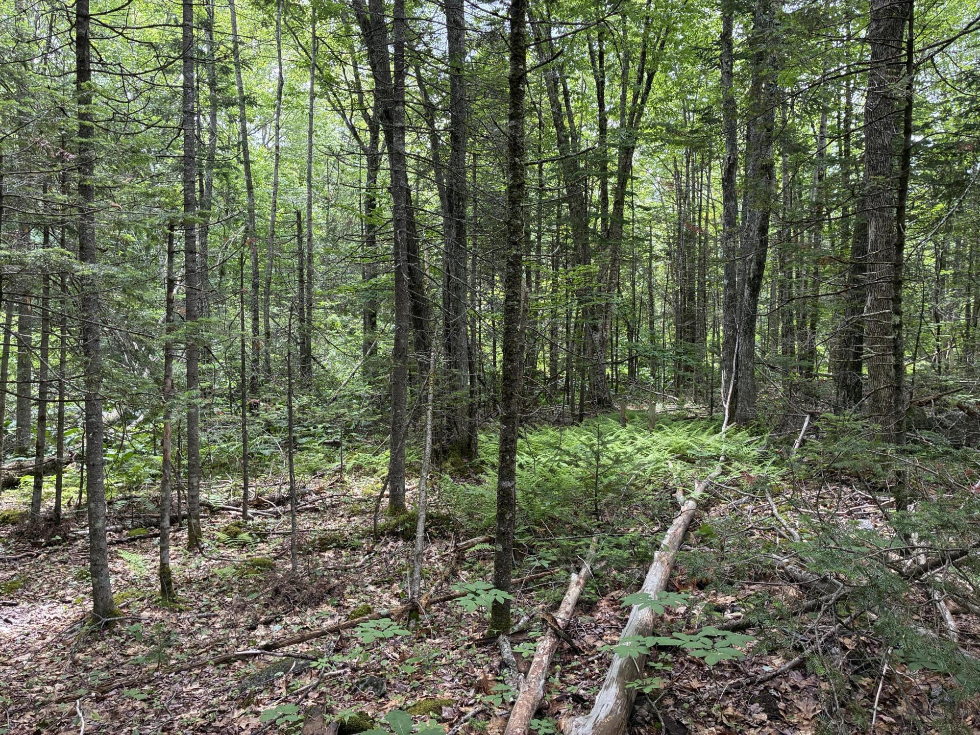 Lot #40 Route 17 (augusta Road) Property Photo 9