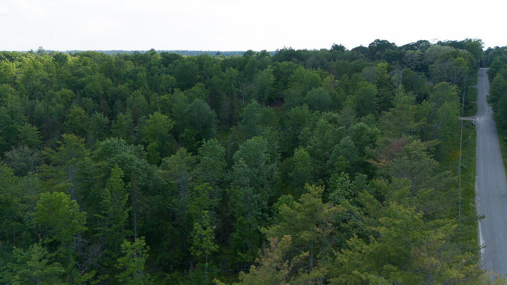 Lot 1 Pond Road Property Photo 1