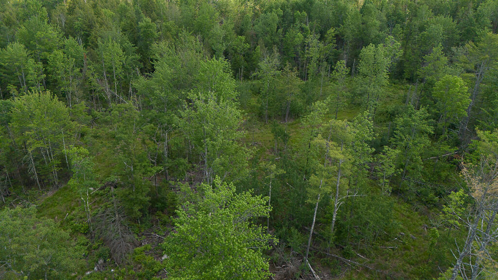 Lot 1 Pond Road Property Photo 4