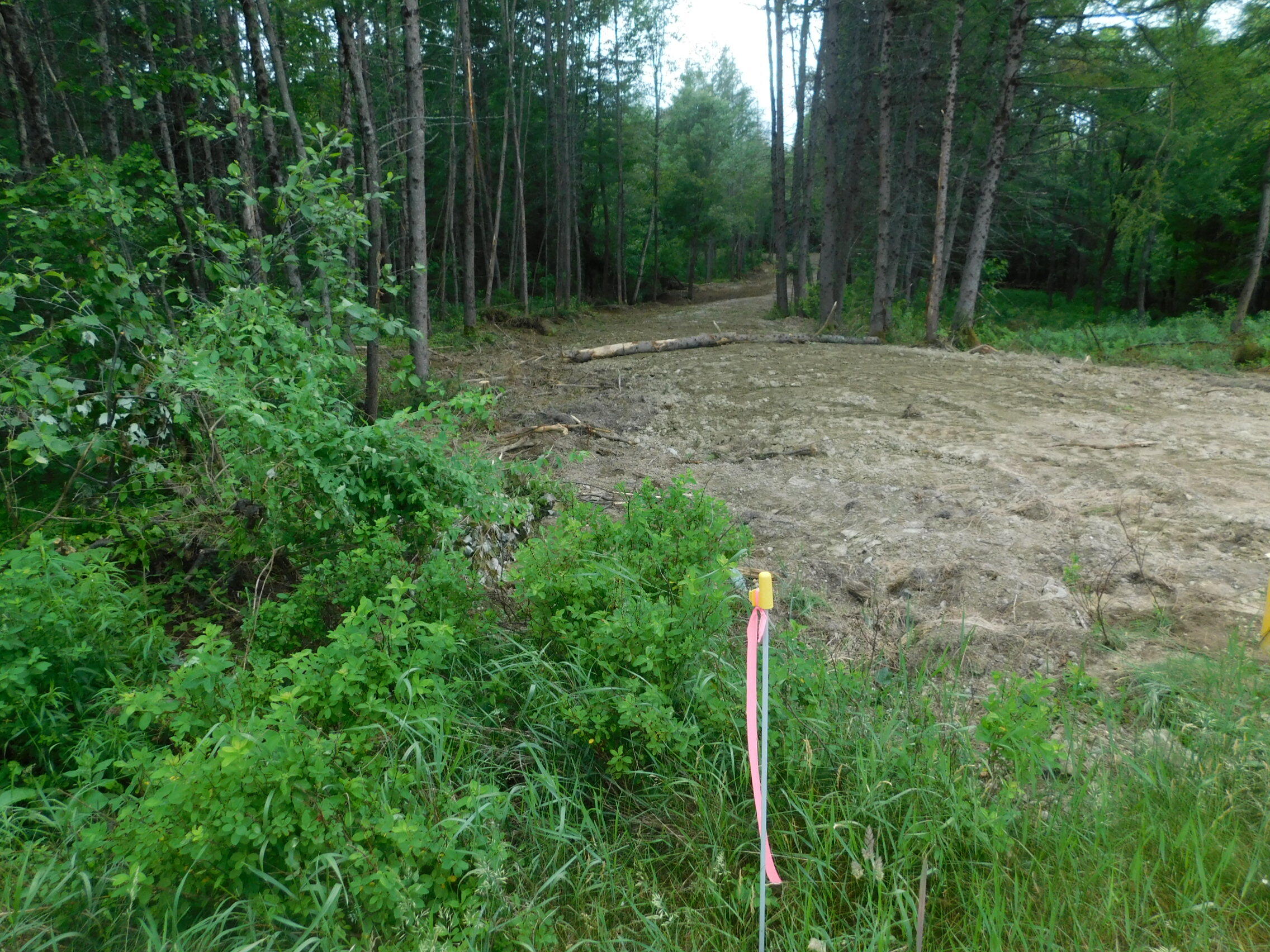 Mr4 L40-b S Main Street Property Photo 3