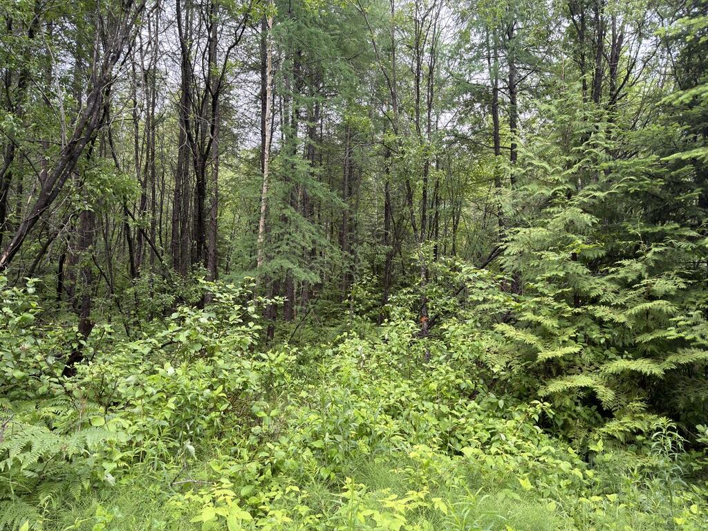 M3 L7-e Fowler Road Property Photo 5