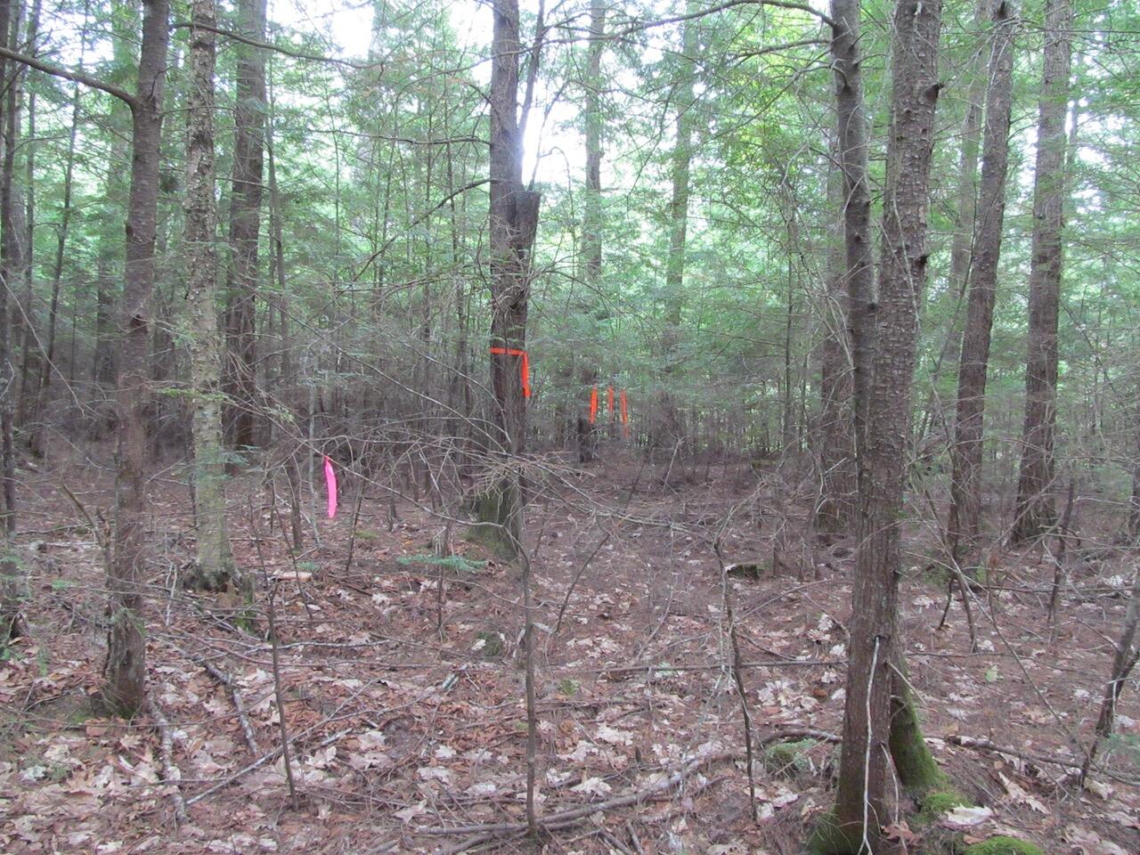 L27 Cummings Lane Property Photo 9
