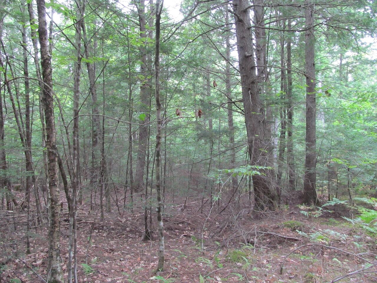 L27 Cummings Lane Property Photo 11